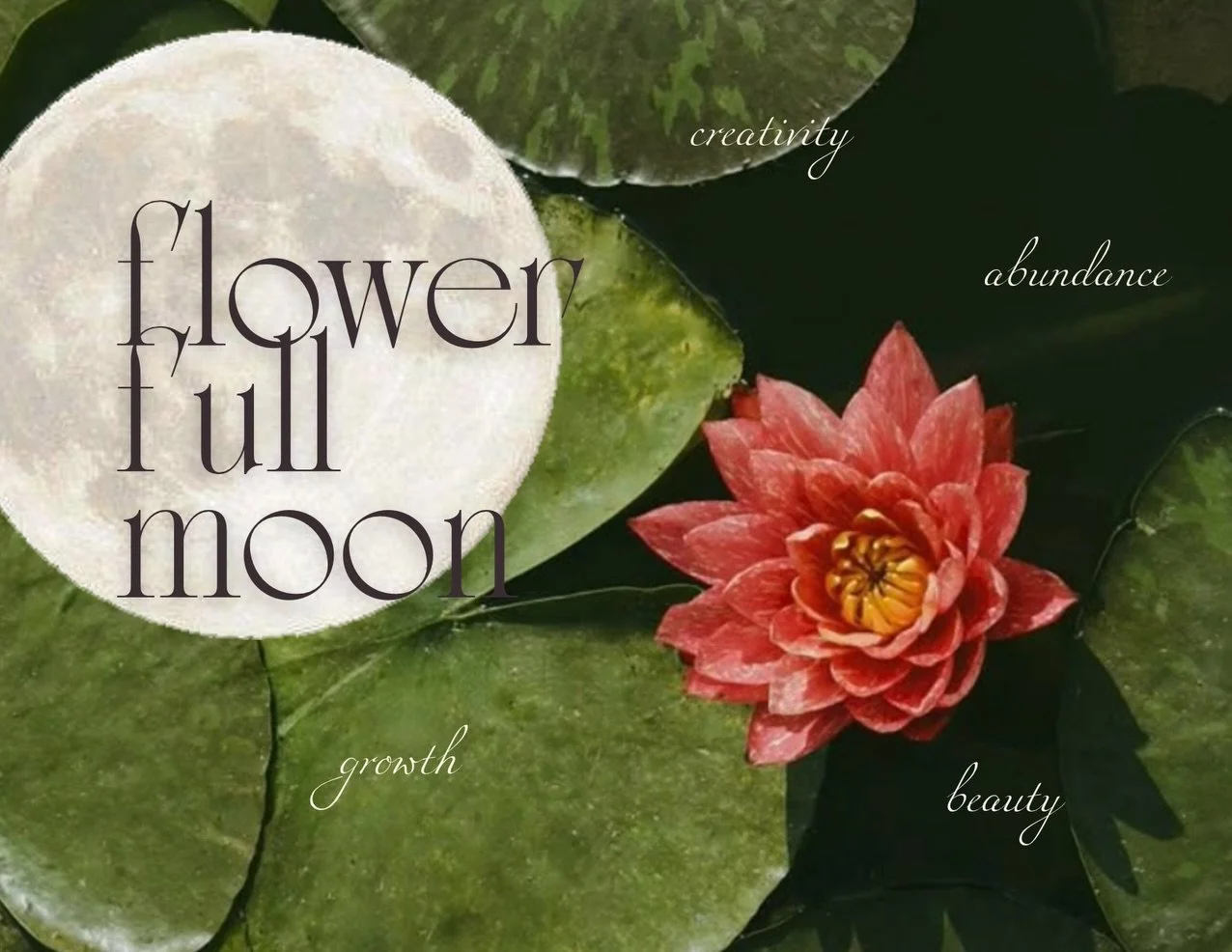 As a crafty girl who loves momentos, I will now have themed full moon postcards for $5 which will be available during my full moon sound baths! They include a mini description of the meaning for the month&rsquo;s full moon 🌕 

Plans for the future: 