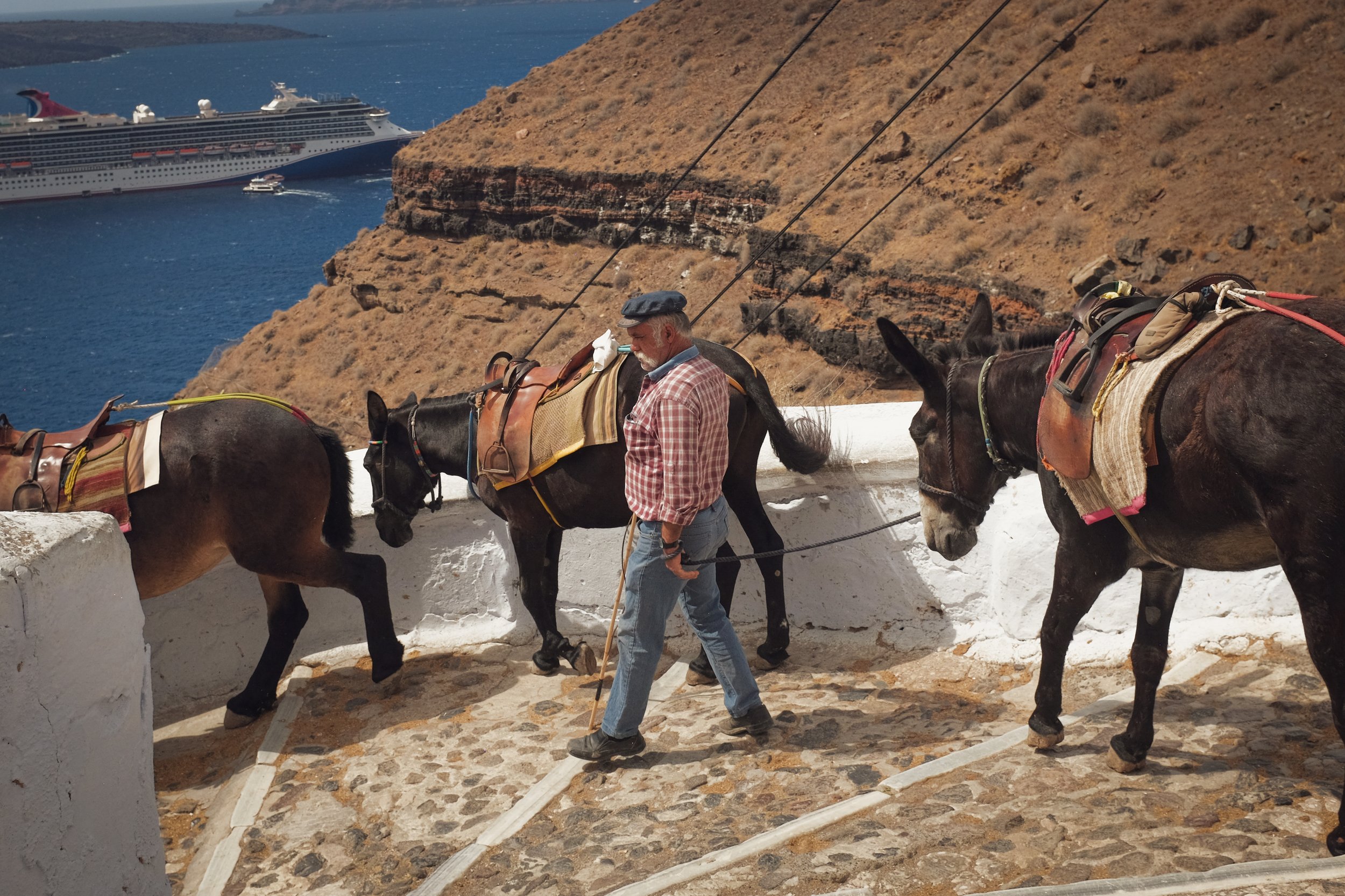 A man walking with three pack mules on a cobblestone path overlooking a blue sea and a cruise ship in the background, with rocky cliffs in a sunny setting.