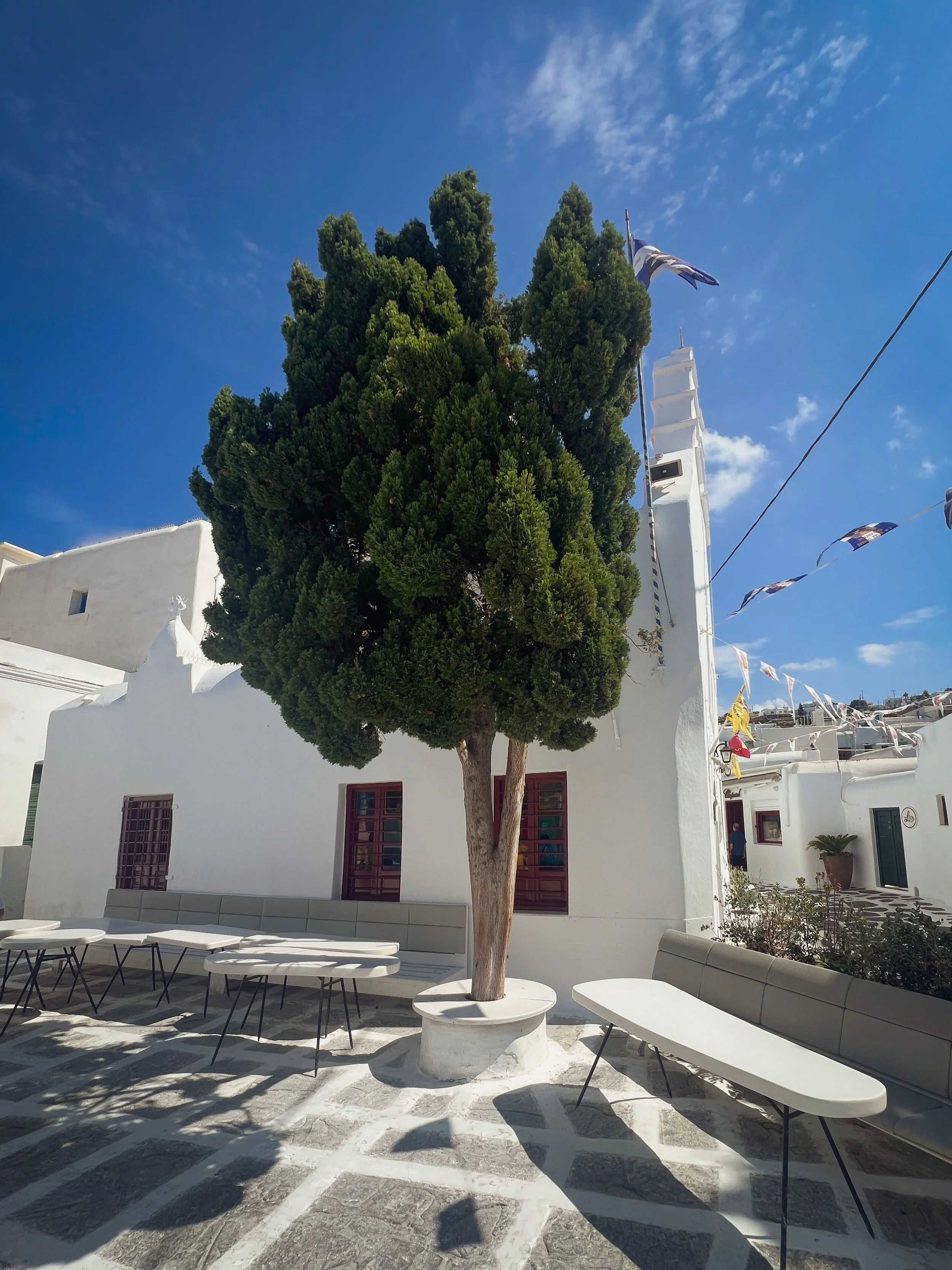 A large green tree in a courtyard with white buildings, benches, and a blue sky with some clouds.