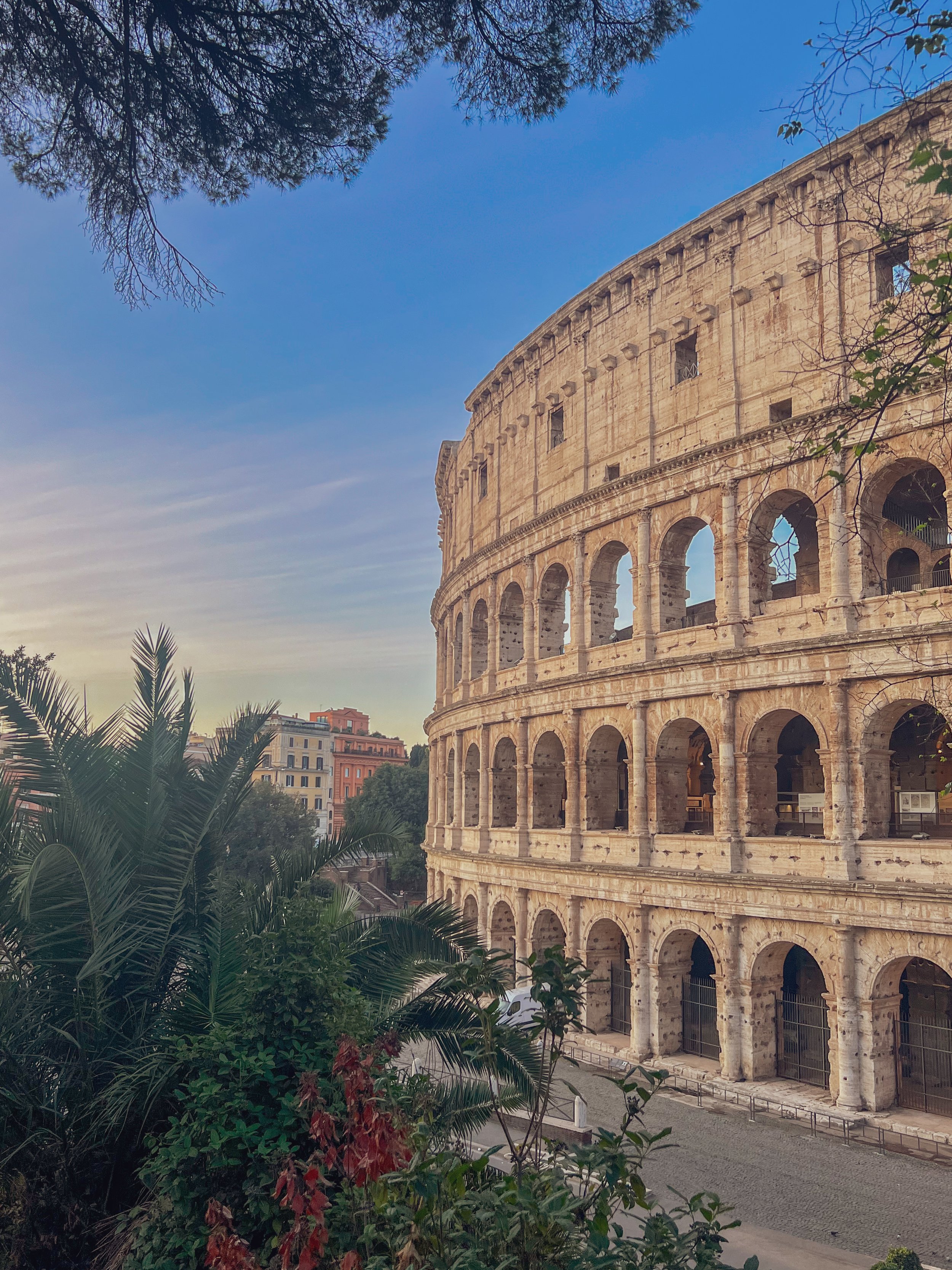 The Roman Colosseum viewed from a side angle at sunset, with trees and buildings in the background.