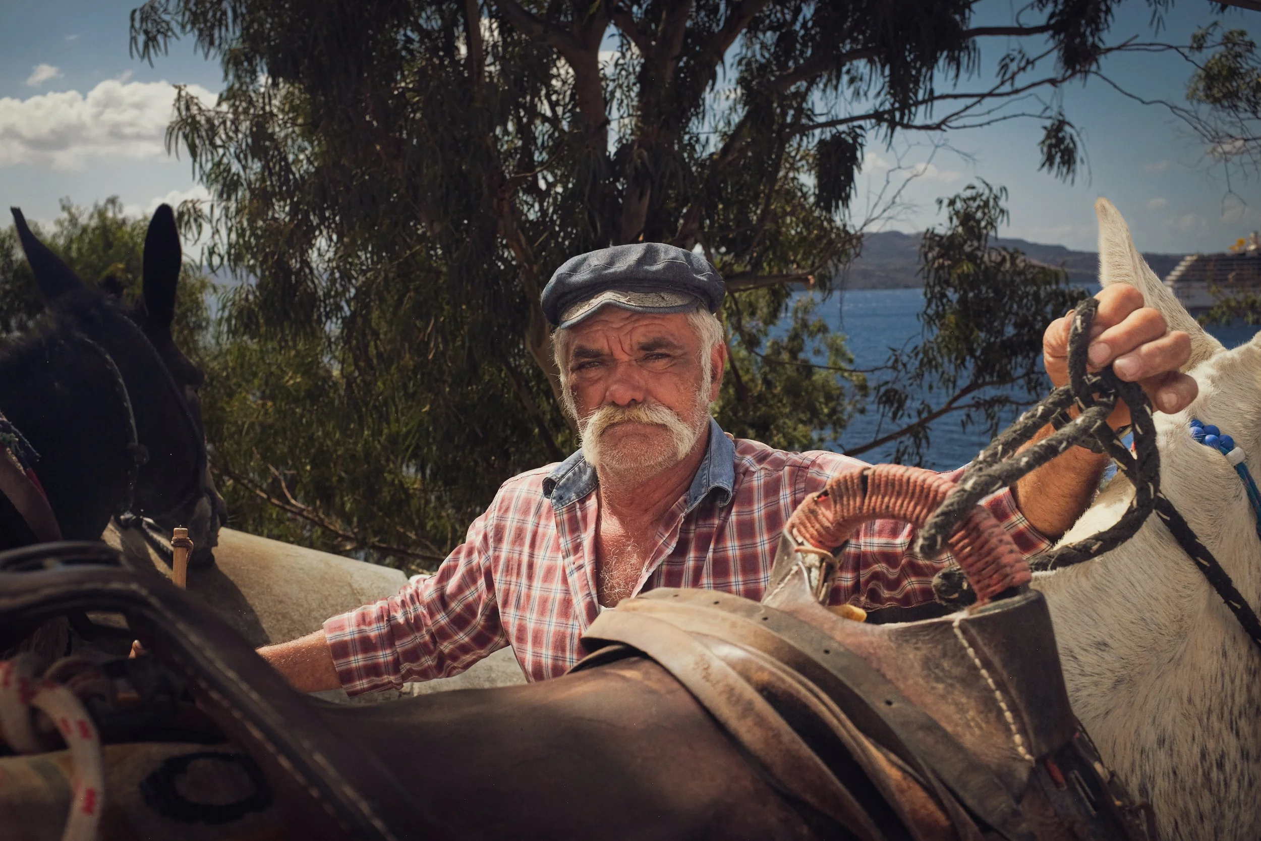 An elderly man with a gray beard and mustache, wearing a gray cap and a red plaid shirt, sitting on a horse with a harness and saddle. The background features trees, a body of water, and a clear sky.
