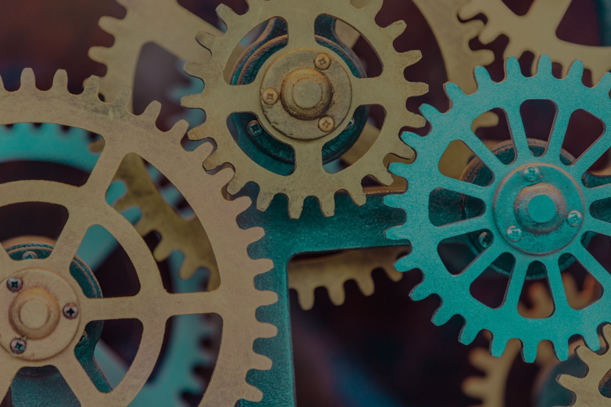 01. Executive Summary