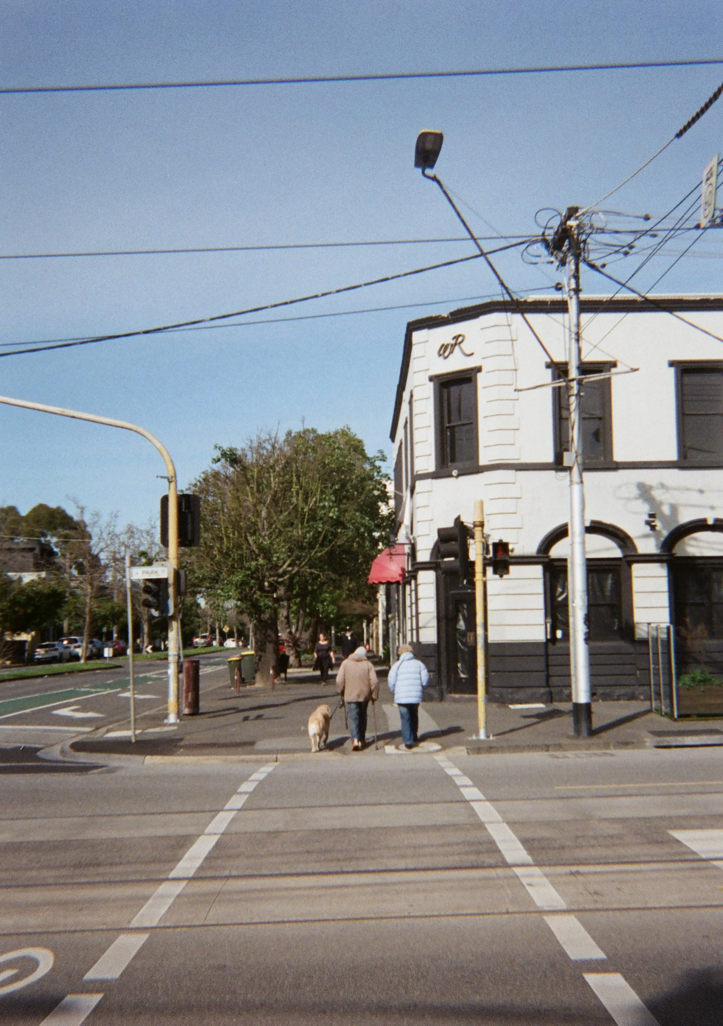 Two elderly people crossing the street with a dog on a leash. They are walking towards a corner, where there are traffic signals. A white building with black trim is on the right side, and there are trees and storefronts in the background. Utility poles with wires are overhead, and the sky is clear.