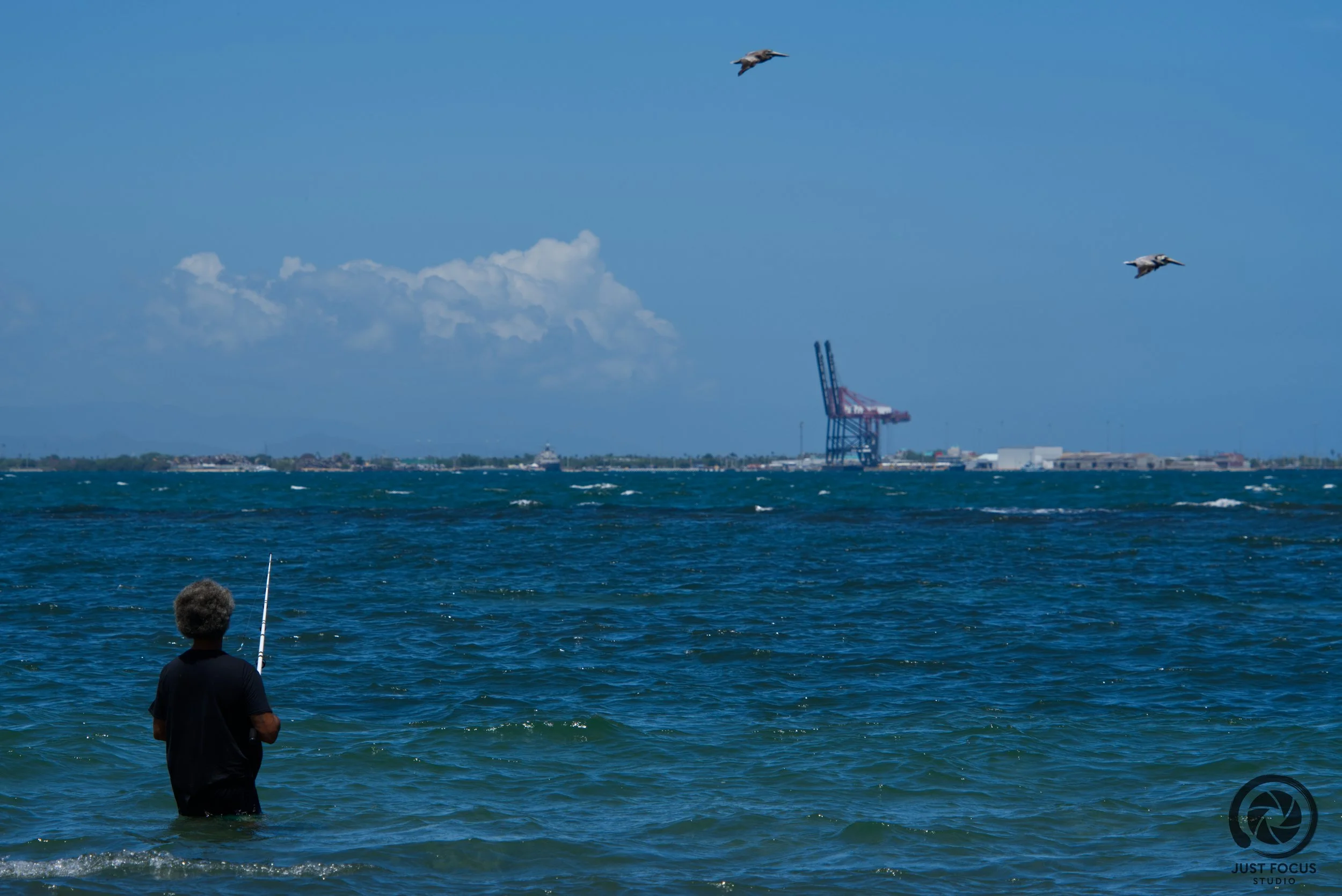 A person stands in the ocean holding a fishing rod; in the background, two seagulls fly over the water and an industrial crane is visible on the distant shoreline.