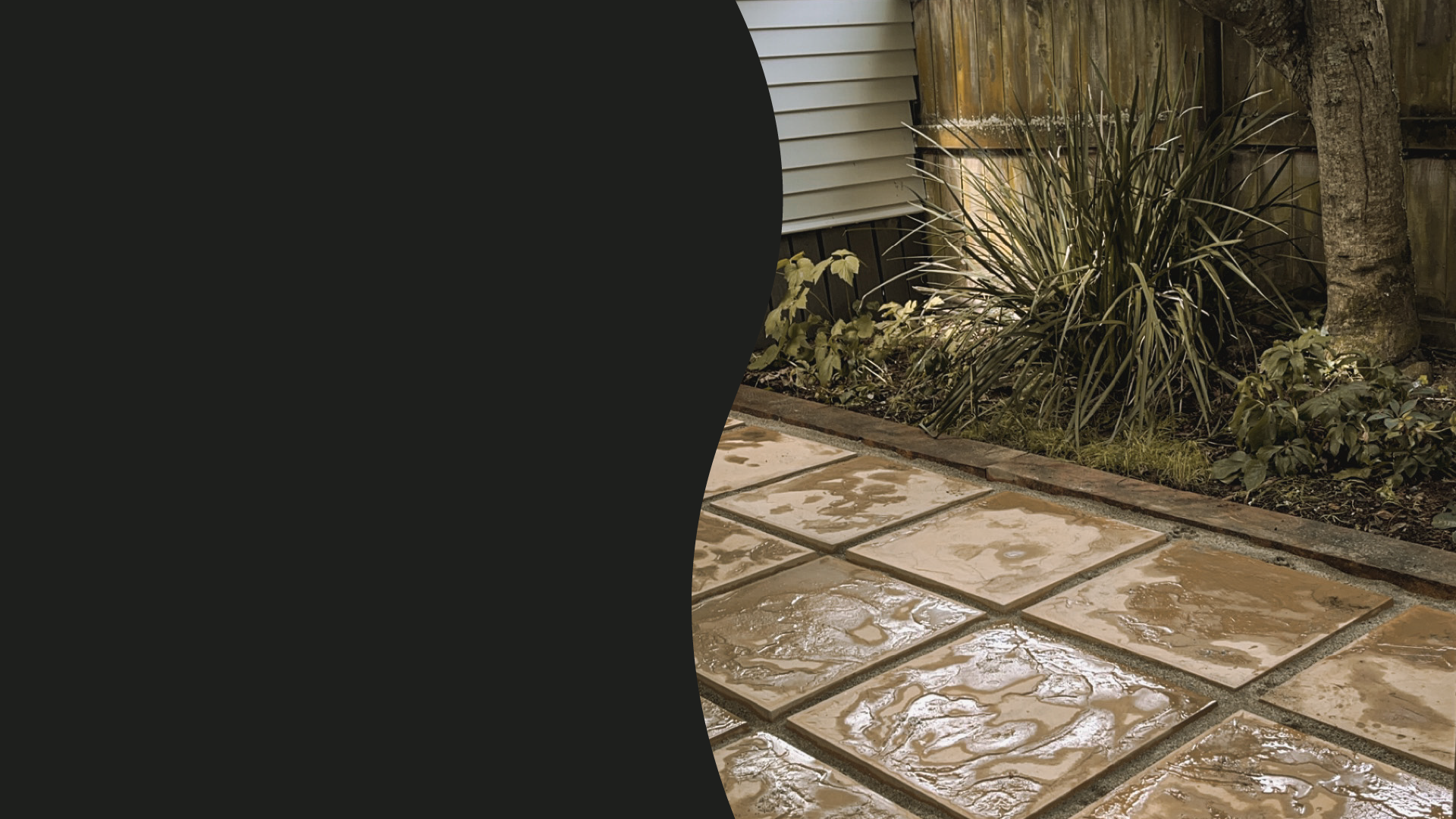 A backyard garden with wet beige tiles, green plants, a tree, and a wooden fence.
