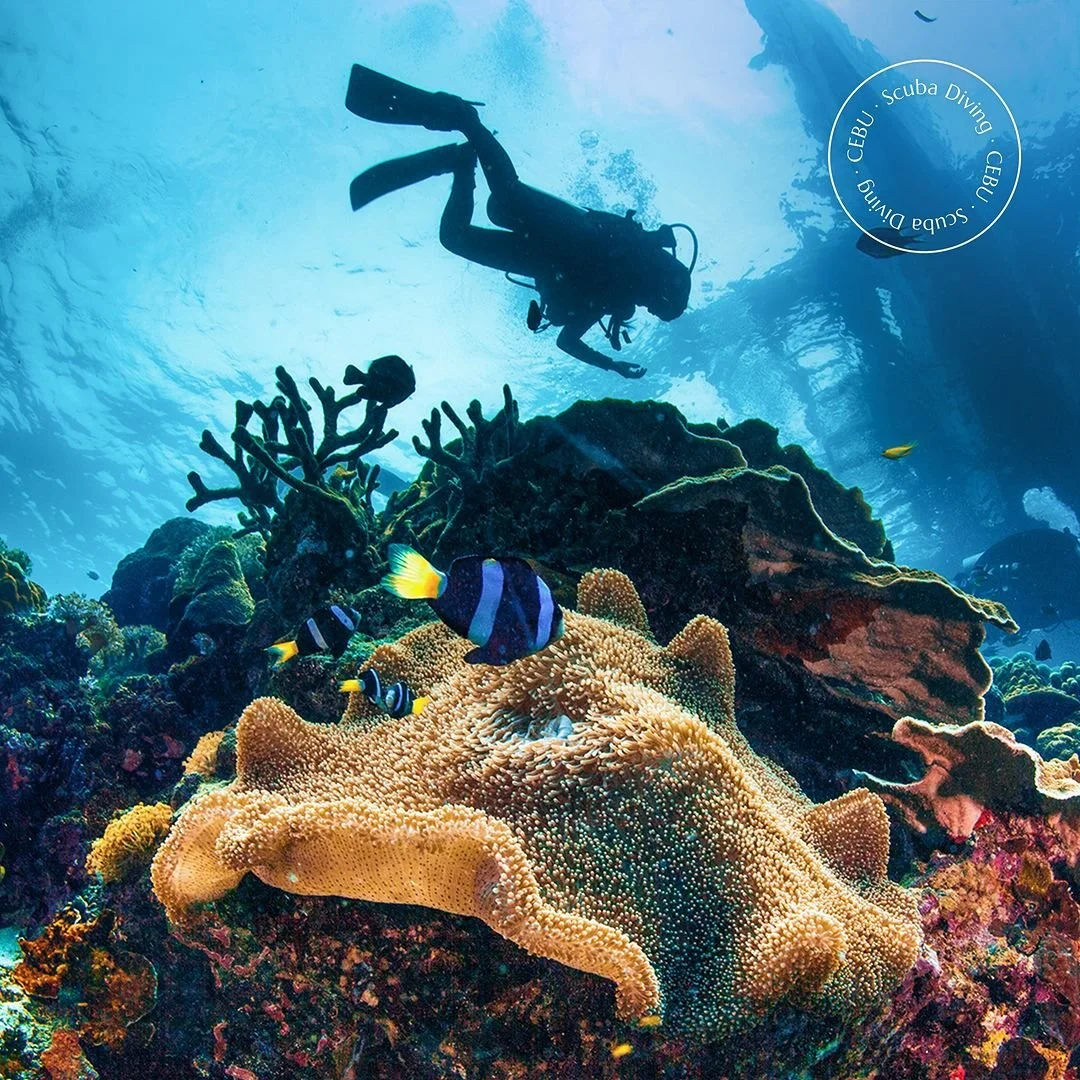 A scuba diver underwater exploring a vibrant coral reef with colorful fish and coral formations.