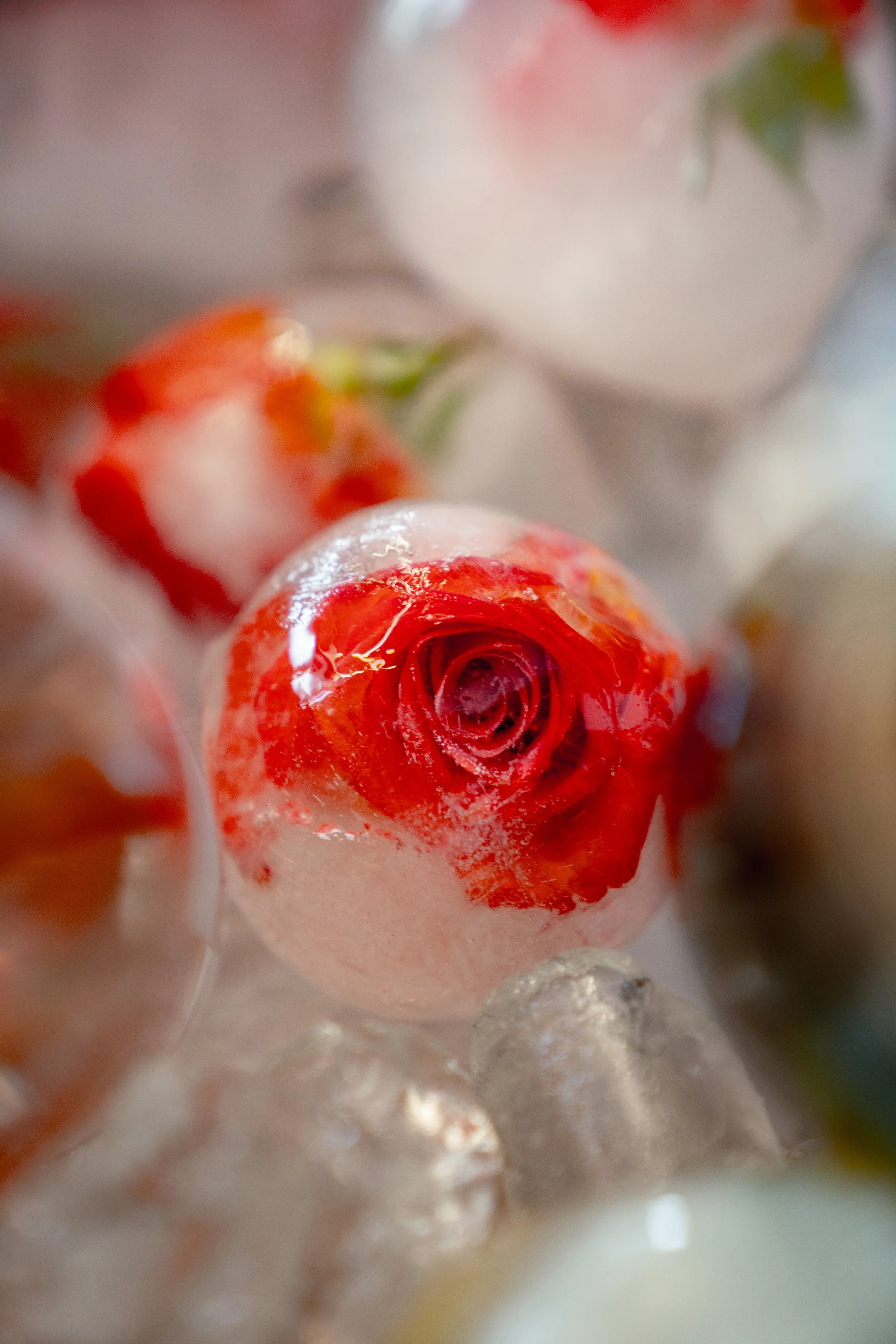 Nahaufnahme einer roten Rose, die in Eis eingeschlossen ist.