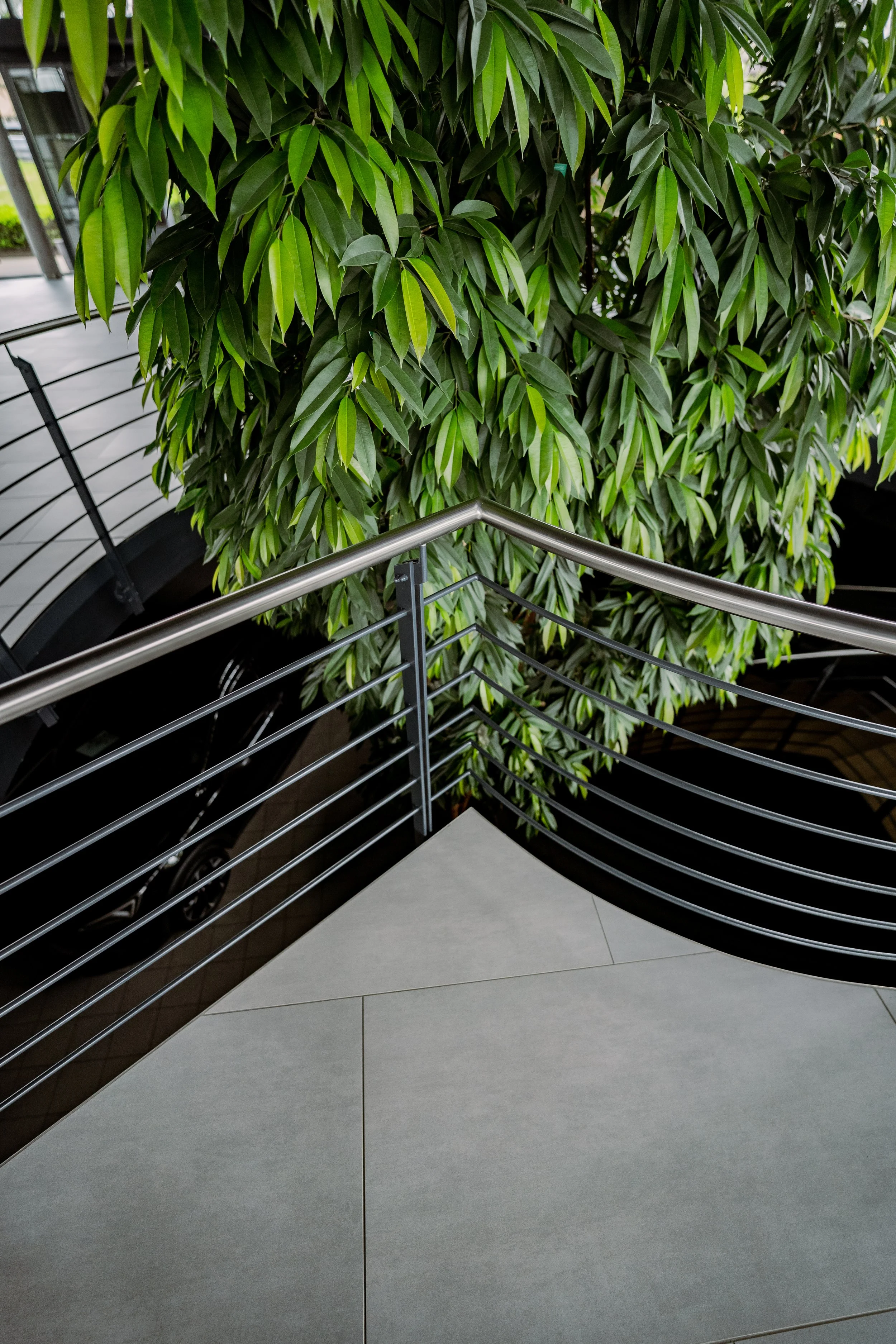 Blick auf eine Treppe mit Metallgeländer und einer großen grünen Zimmerpflanze im Hintergrund in einem Innenraum.