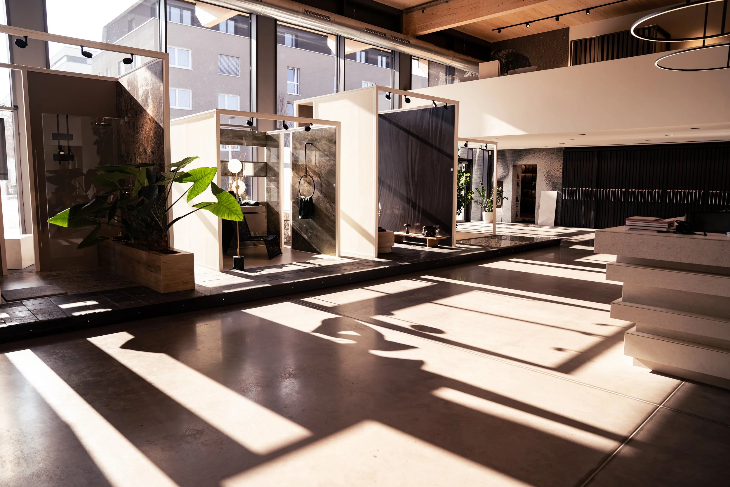 Innenraum eines modernen Geschäftsladens oder Studios mit natürlichen Licht, Pflanzen, Displays und schattigen Bodenflächen.