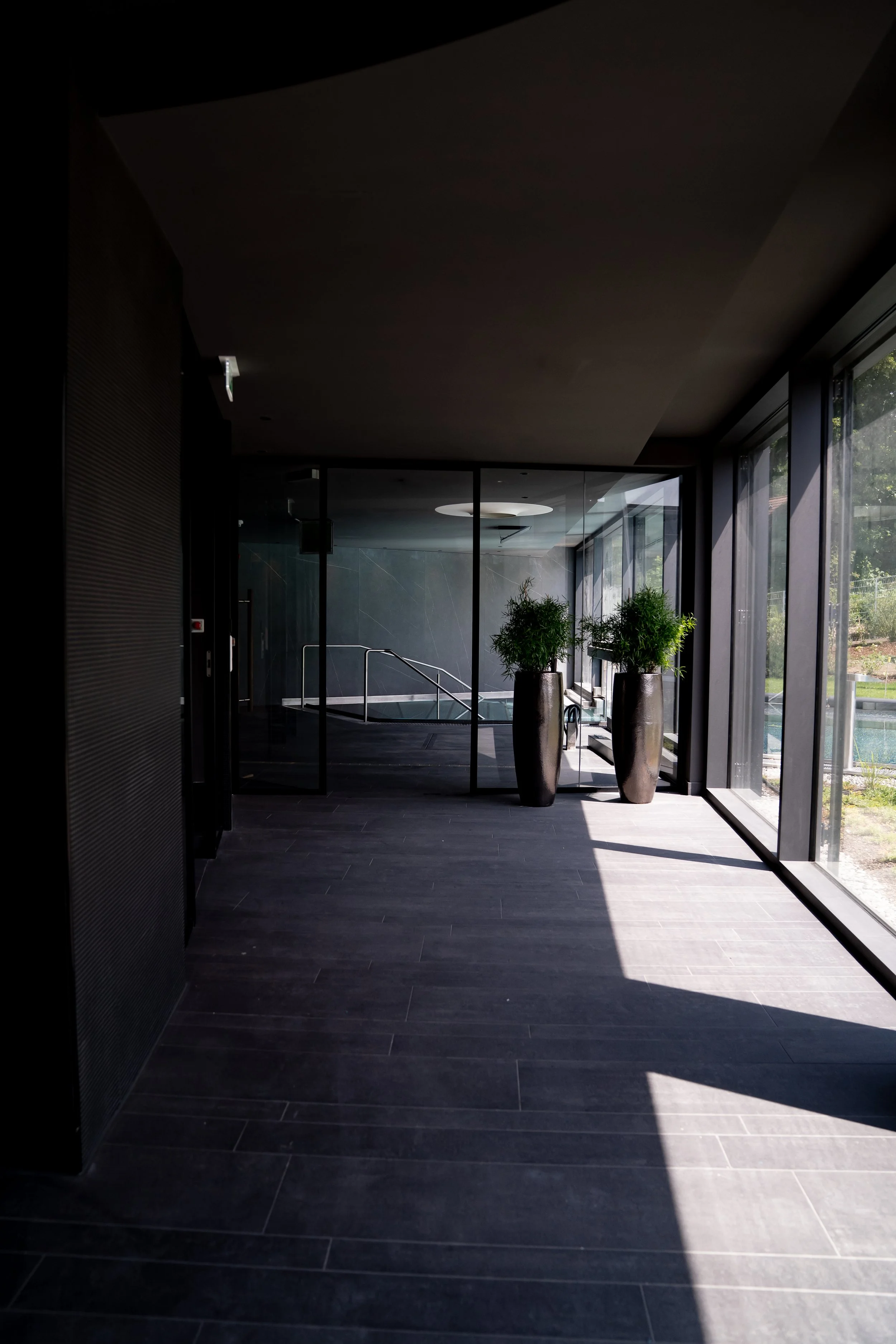 Innenaufnahme eines modernen Wellnessbereichs mit dunklem Boden, großen Fenstern, zwei Pflanzen in hohen Töpfen und einem Pool im Hintergrund.