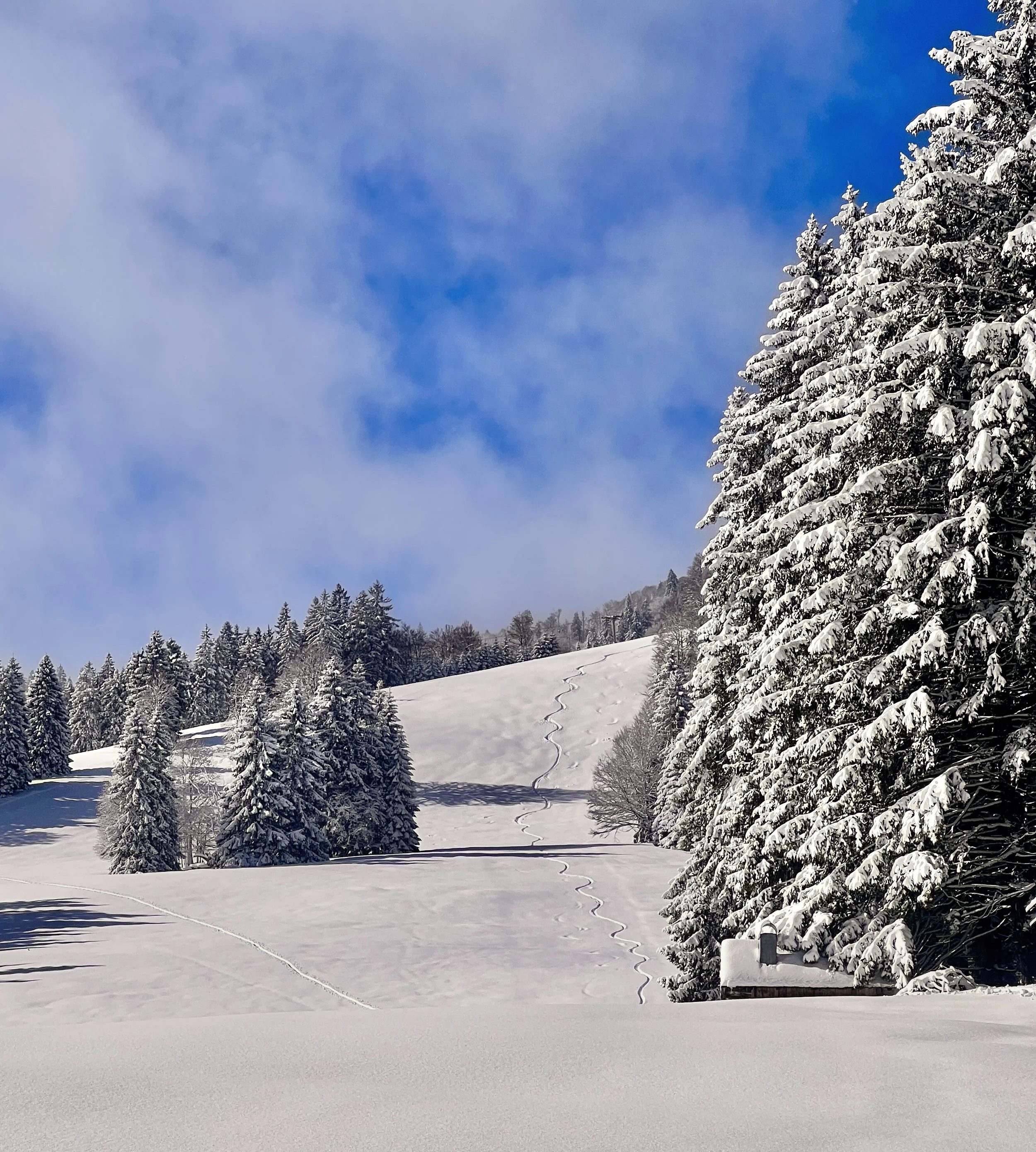 Skitour mit Hund