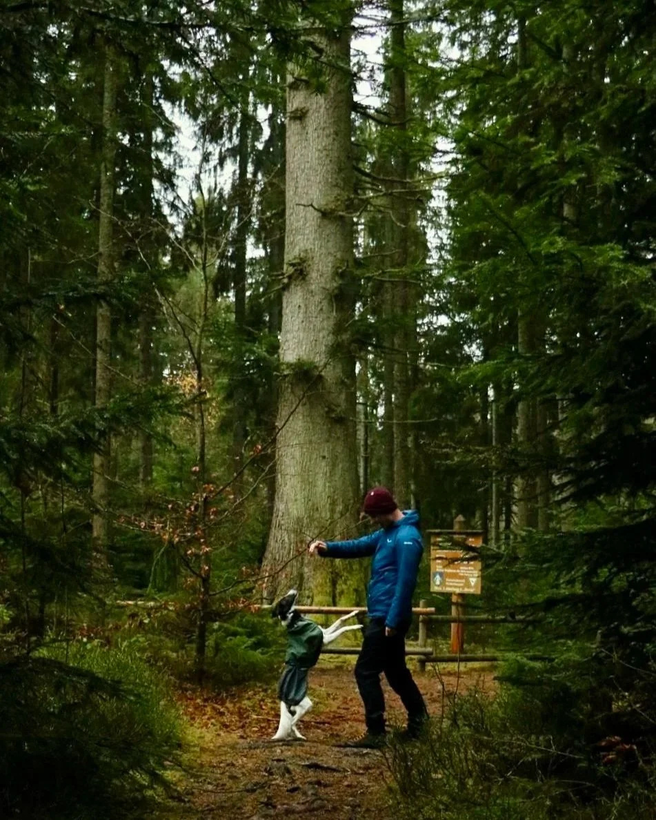Ein Mensch mit roter Mütze und blauer Jacke, der einen Hund in einem Wald führt. Der Hund trägt eine Regenjacke.