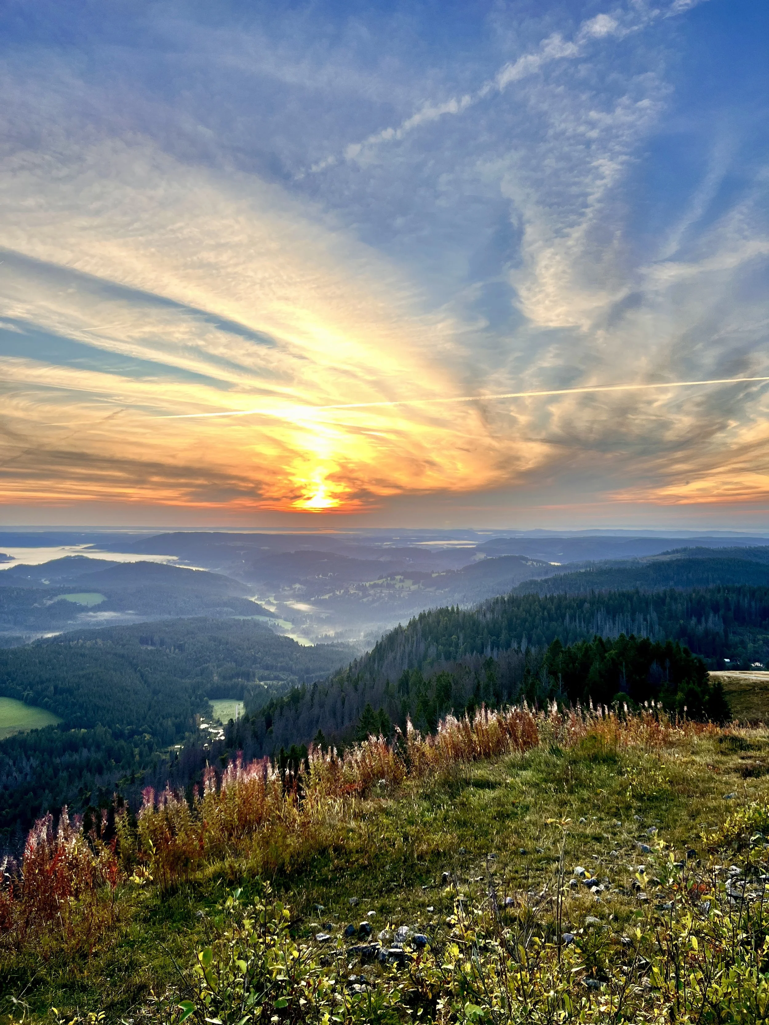 Früh Morgens auf den Blösling