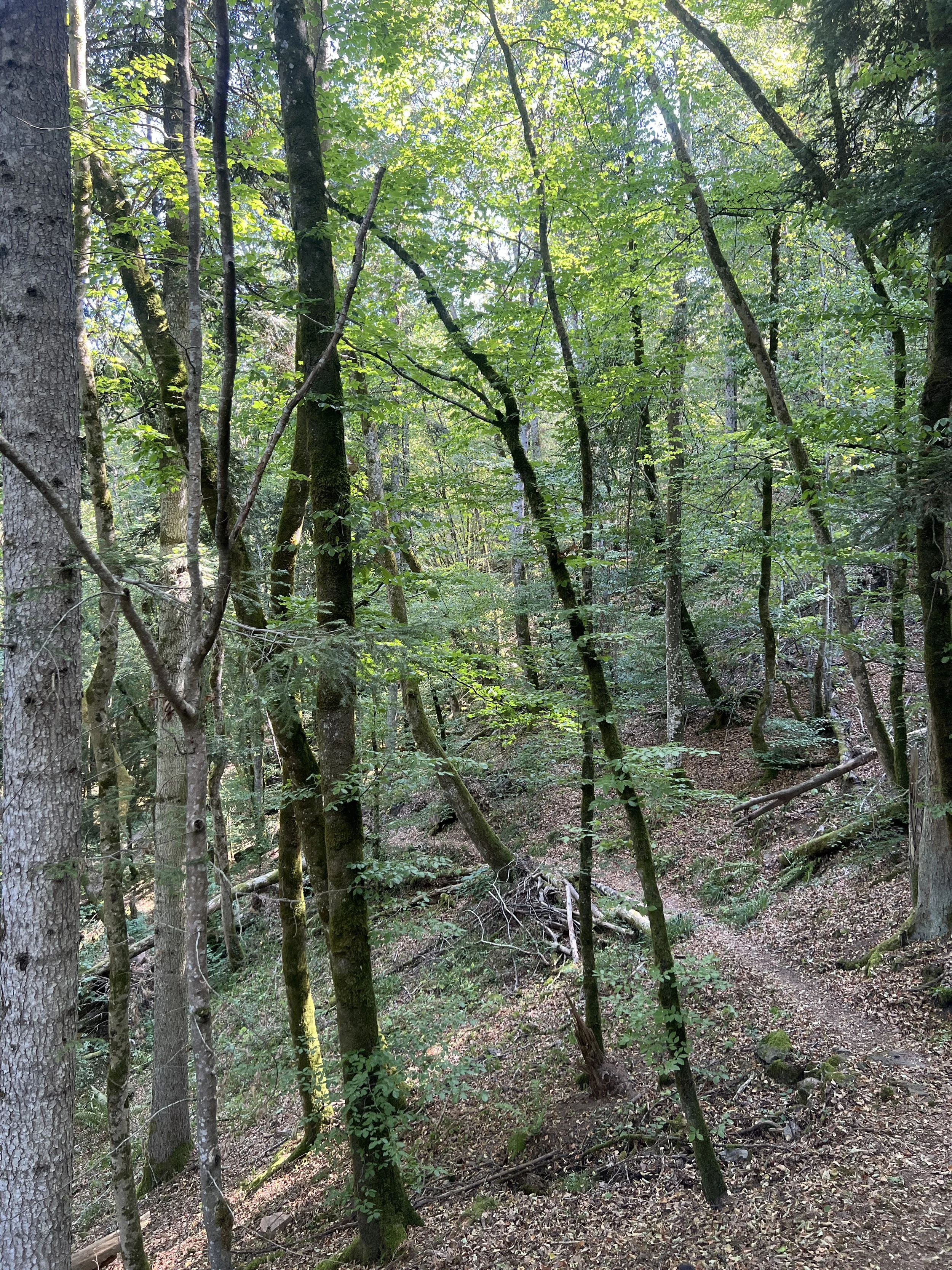 IMG_4157.JPG