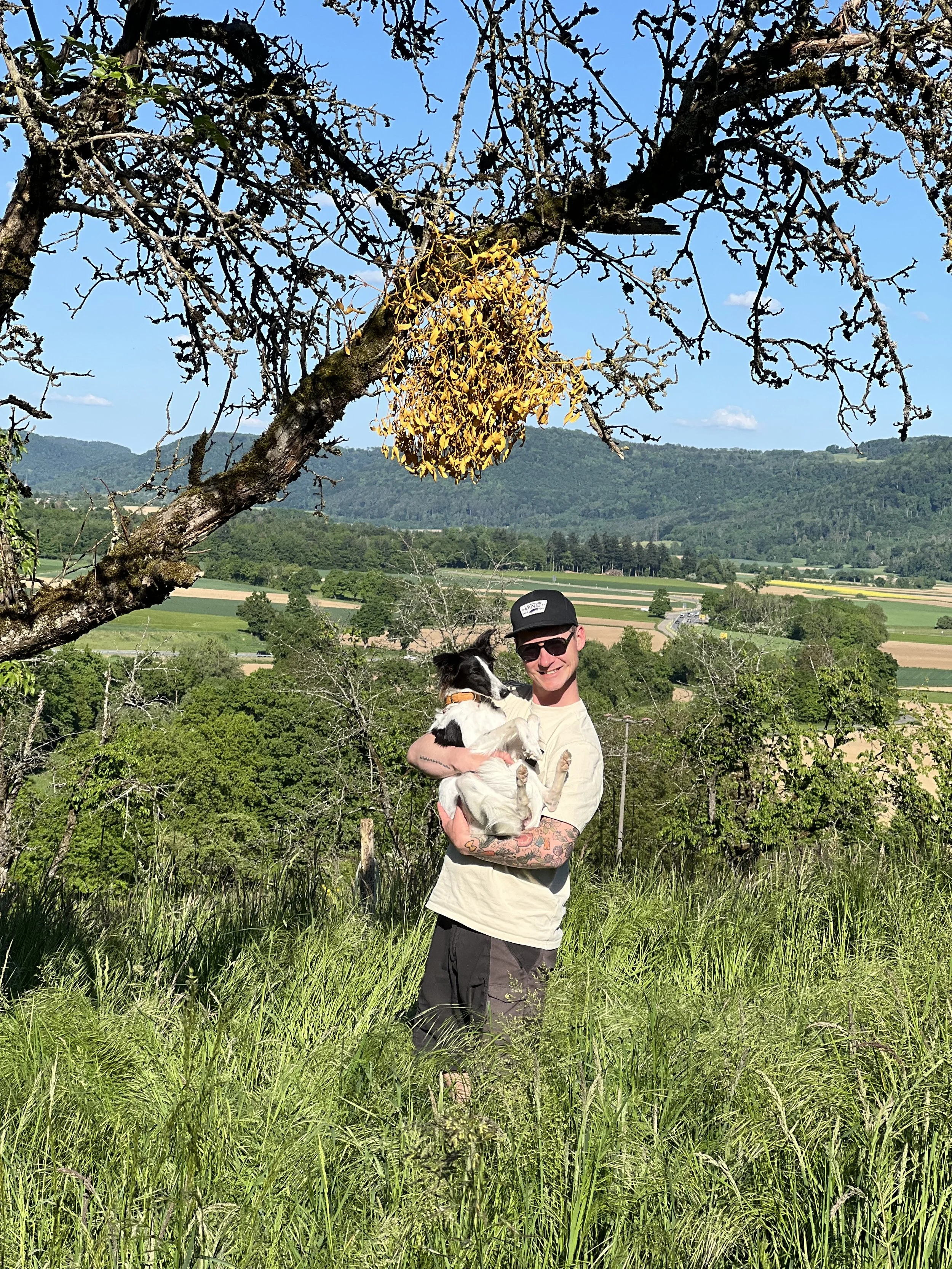 Ein Mann hält einen weißen Hund mit schwarzen Markierungen in einem grünen Feld unter einem Baum, im Hintergrund Hügel und Felder, bei sonnigem Himmel.
