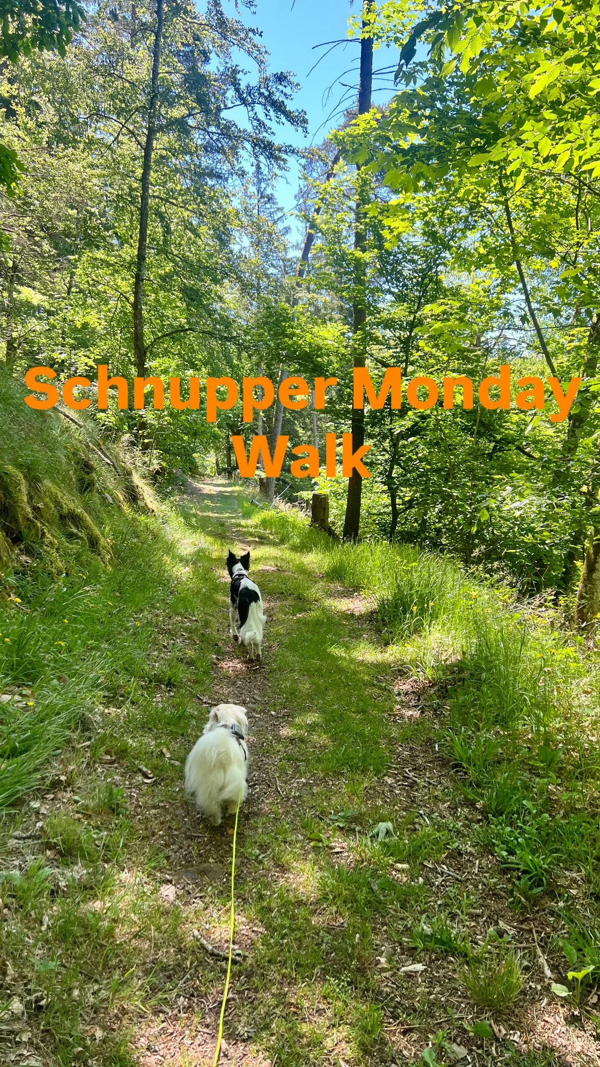 Schnupper Monday Walk