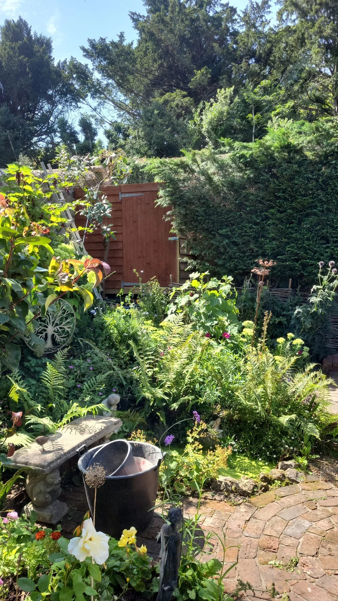 WhatsApp Image 2025-08-11 at 13.44.18_6a6440b2.jpg