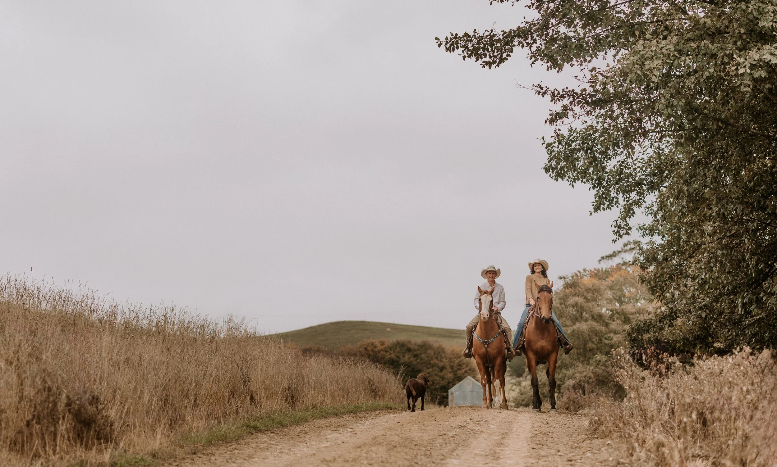 engaged couple on a horse