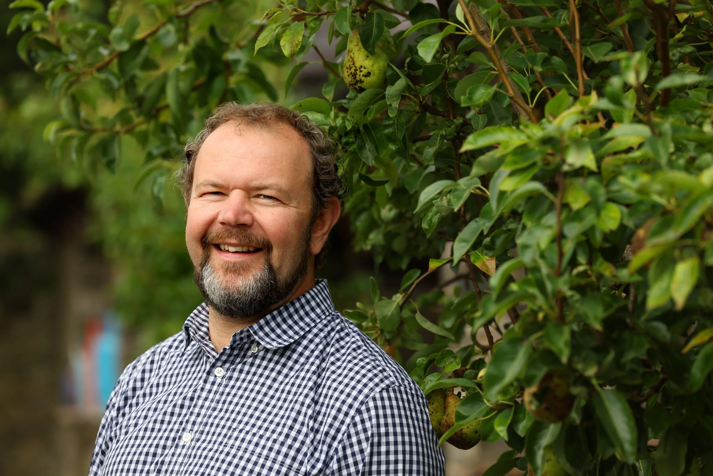 A smiling man with a beard and mustache, wearing a checkered shirt, standing outdoors next to a leafy tree with green fruit.