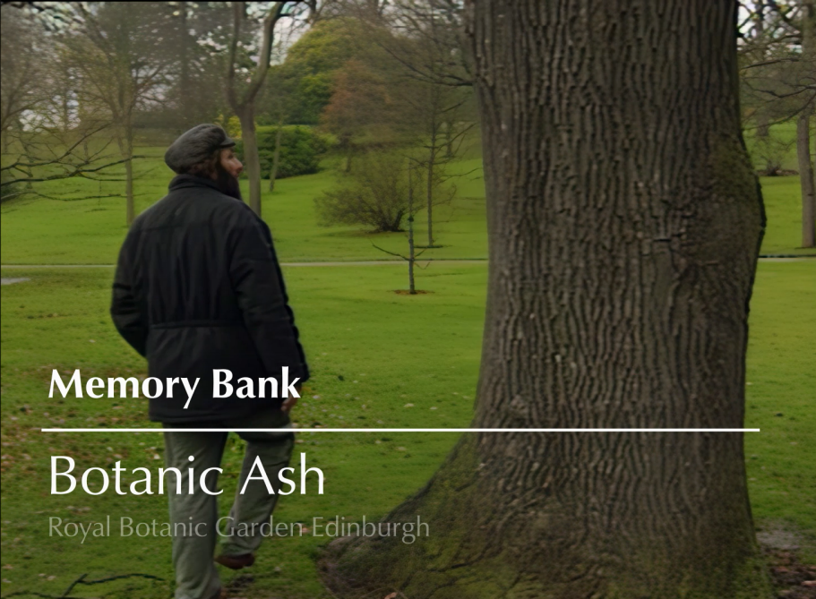 Copy of Screenshot 2026-02-08 204159.png