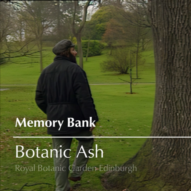 Tim Stead Memory Bank