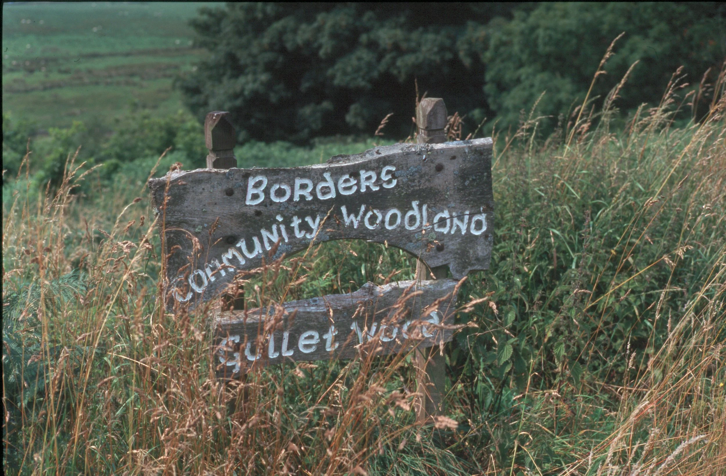 A weathered wooden sign reading 'Borders Community Woodland' hangs amid tall grasses with a forested hillside in the background.