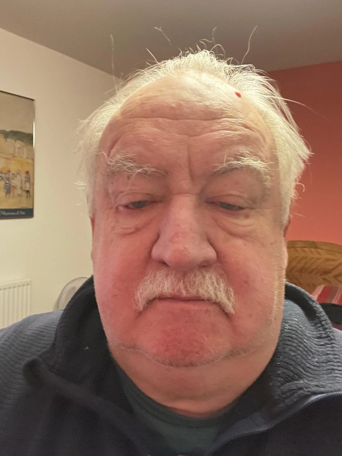 Close-up of an elderly man with white hair, a white mustache, and slightly squinted eyes, wearing a dark jacket, indoors with a painting on the wall behind him.