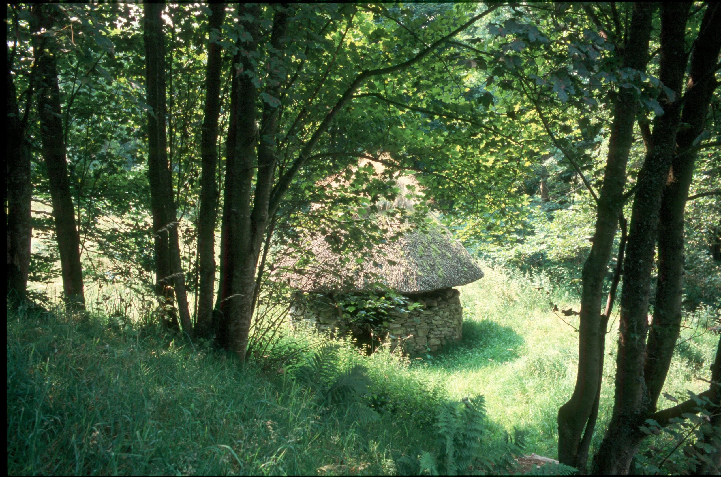 A small stone hut with a thatched roof surrounded by dense green foliage and trees, with sunlight filtering through the leaves.
