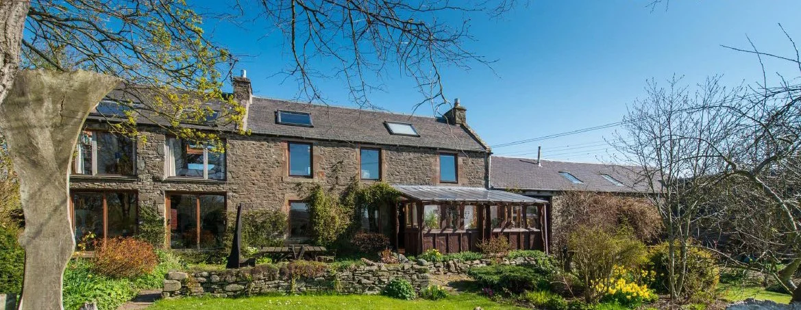 Explorations with Wood: Adult Learning Programme 2024