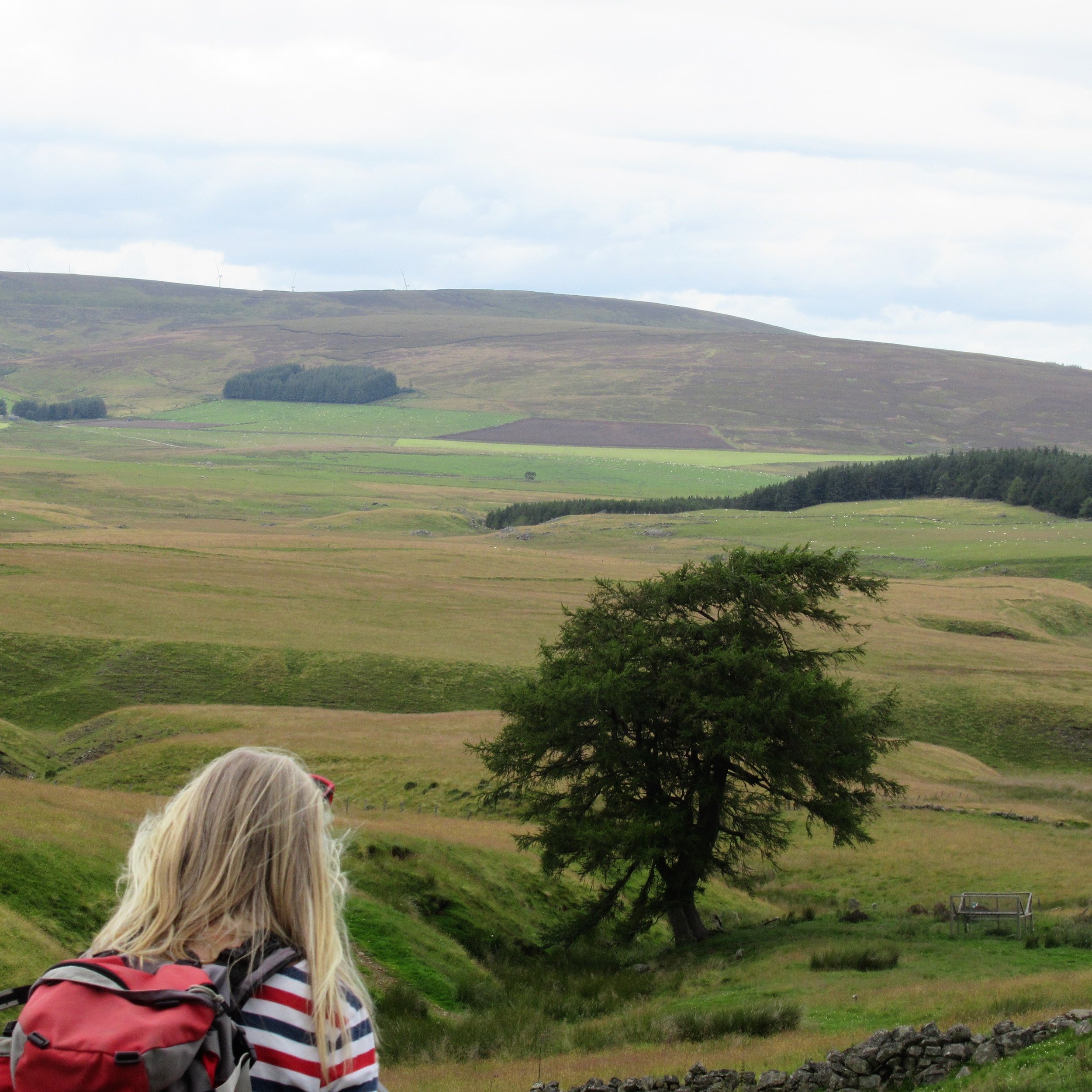 A person with long blonde hair, wearing a striped shirt and a red backpack, standing in a green landscape with rolling hills, a lone tree, and a cloudy sky.
