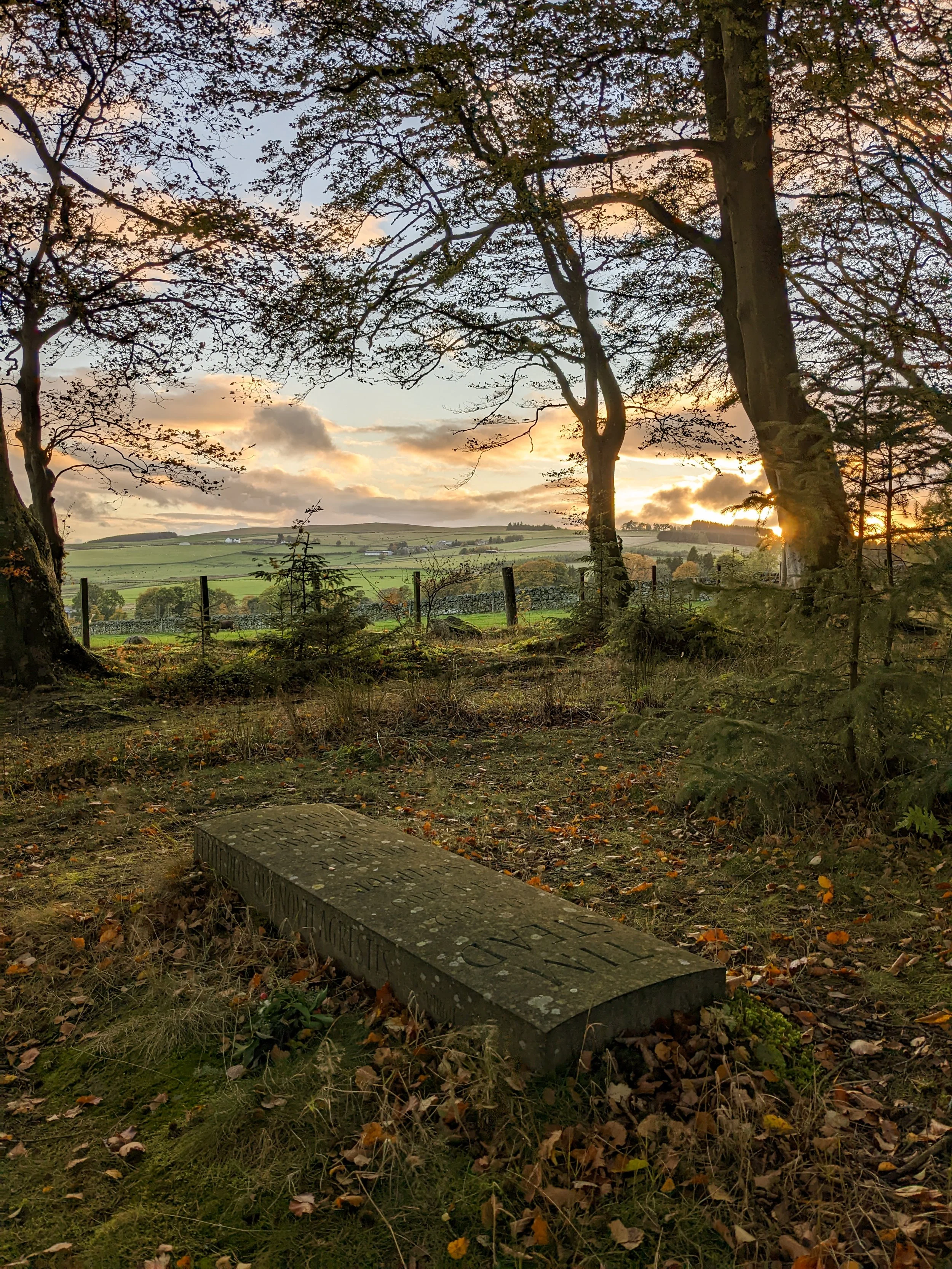 Sunset over a countryside with trees and a grassy field, with a gravestone in the foreground surrounded by fallen leaves.