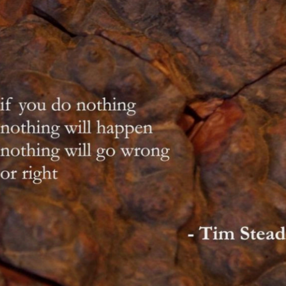 Artist Patron Scheme 2024+