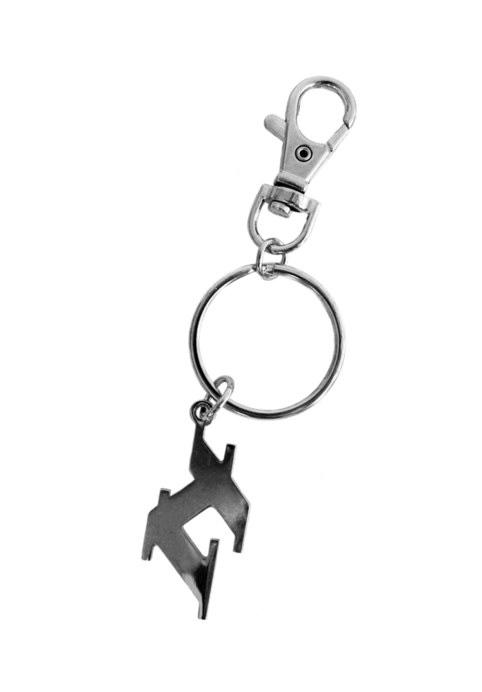 chrome+keychain+no+bg.png