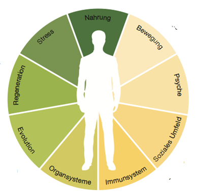 Klinische Psycho-Neuro-Immunologie (kPNI) – ganzheitliche Gesundheit in Bozen, Südtirol