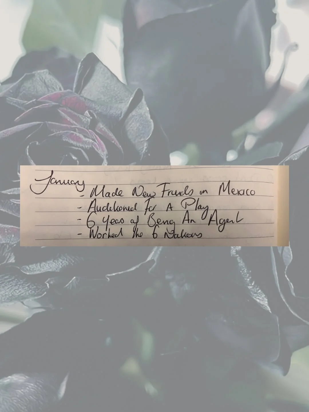 2025 ✨ 🖤

I&rsquo;ll probably come back and edit the caption because this took me way too long, but this year has been magic 🌹 with hard moments too, there always is - but after the shitshow or 2024 i had no idea what would be around the corner 👀