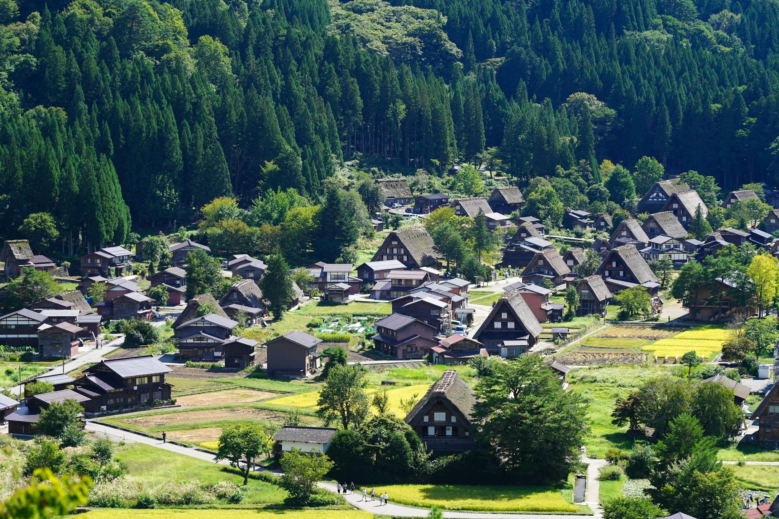 A scenic aerial view of a traditional Japanese village surrounded by lush green forest and farmland in Toyama prefecture.