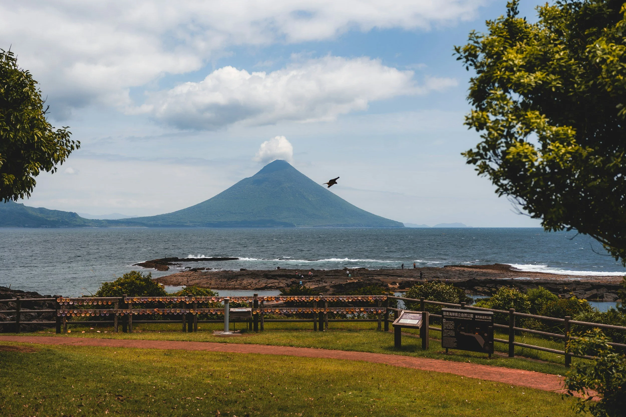 Scenic view of a volcanic island with a smoking volcano in the background, viewed from a park with trees, a grassy area, and a fence with icon notes in the foreground in Kagoshima, Japan.
