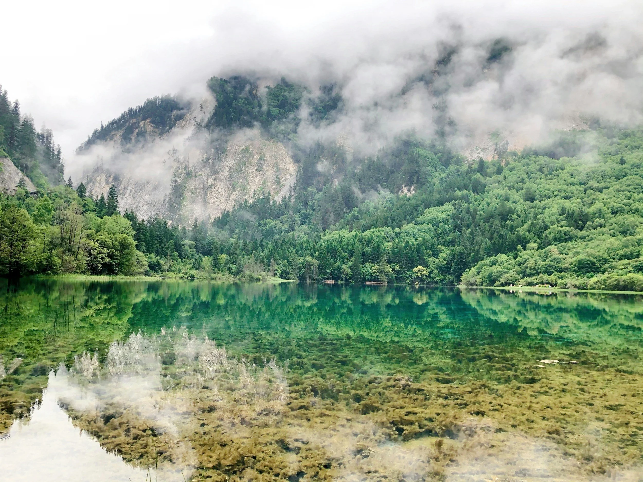 A scenic mountain landscape with a foggy, overcast sky, lush green forested mountains, and a clear reflective lake in the foreground at Jiuzhaigou National Park in Sichuan, China.