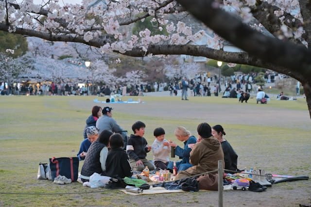 How to Enjoy Japan's Sakura Season Without the Crowds