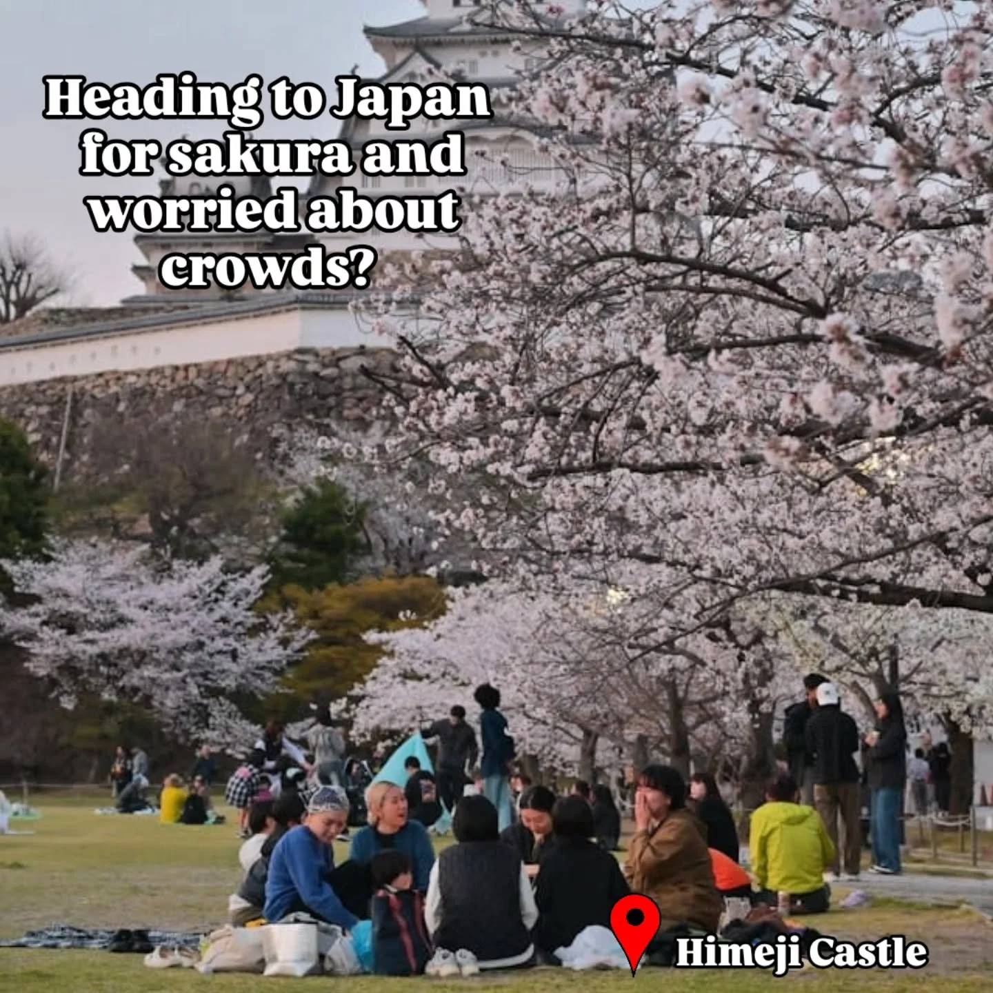 Sakura season in Japan is magical. It's also absolutely rammed with people if you're headed to the obvious spots.

Here's the thing: the bloom travels from south to north over nearly four months. Which means there are incredible spots across the coun
