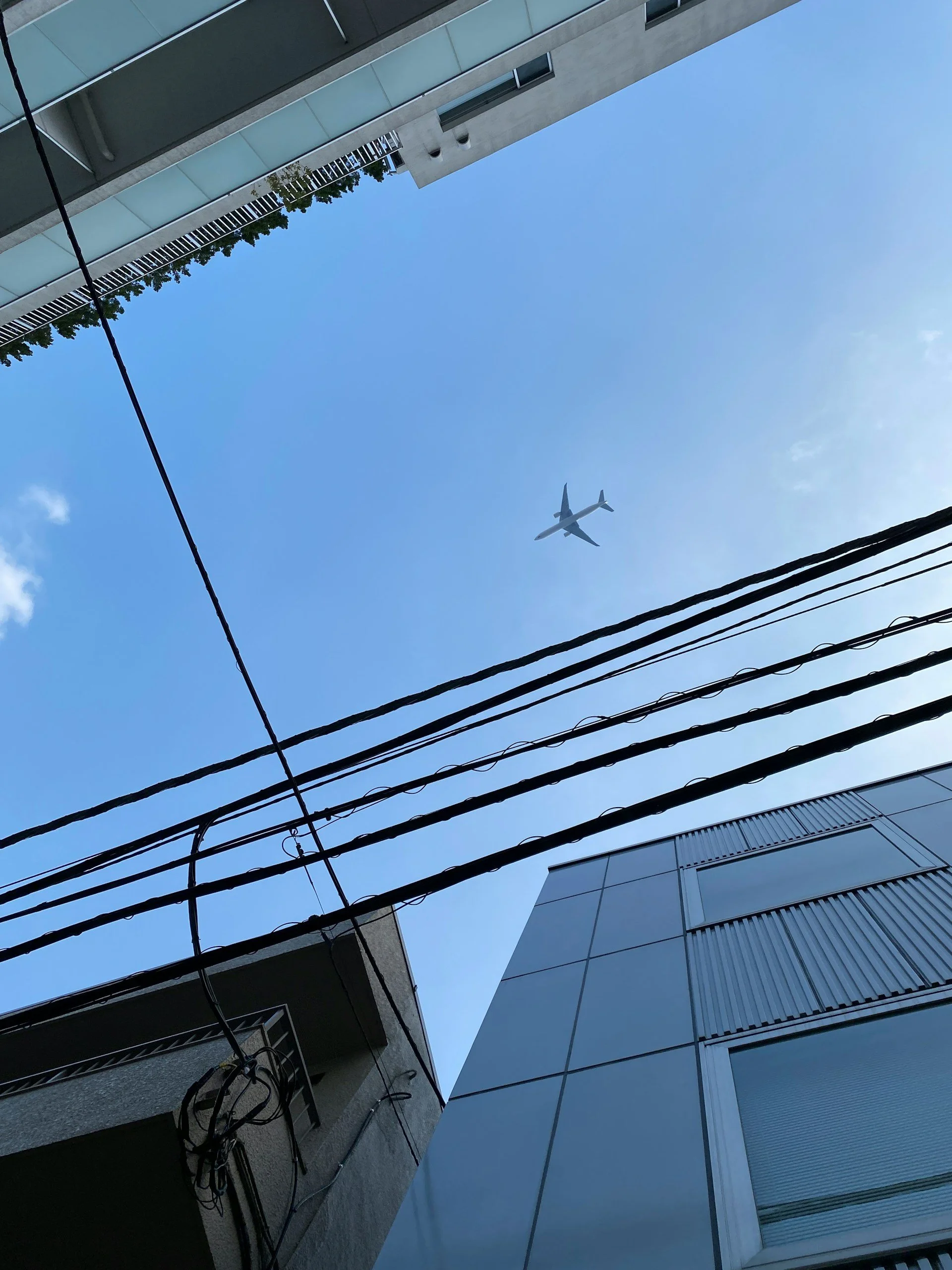 How to Spend Your Haneda Layover, However Much Time You've Got
