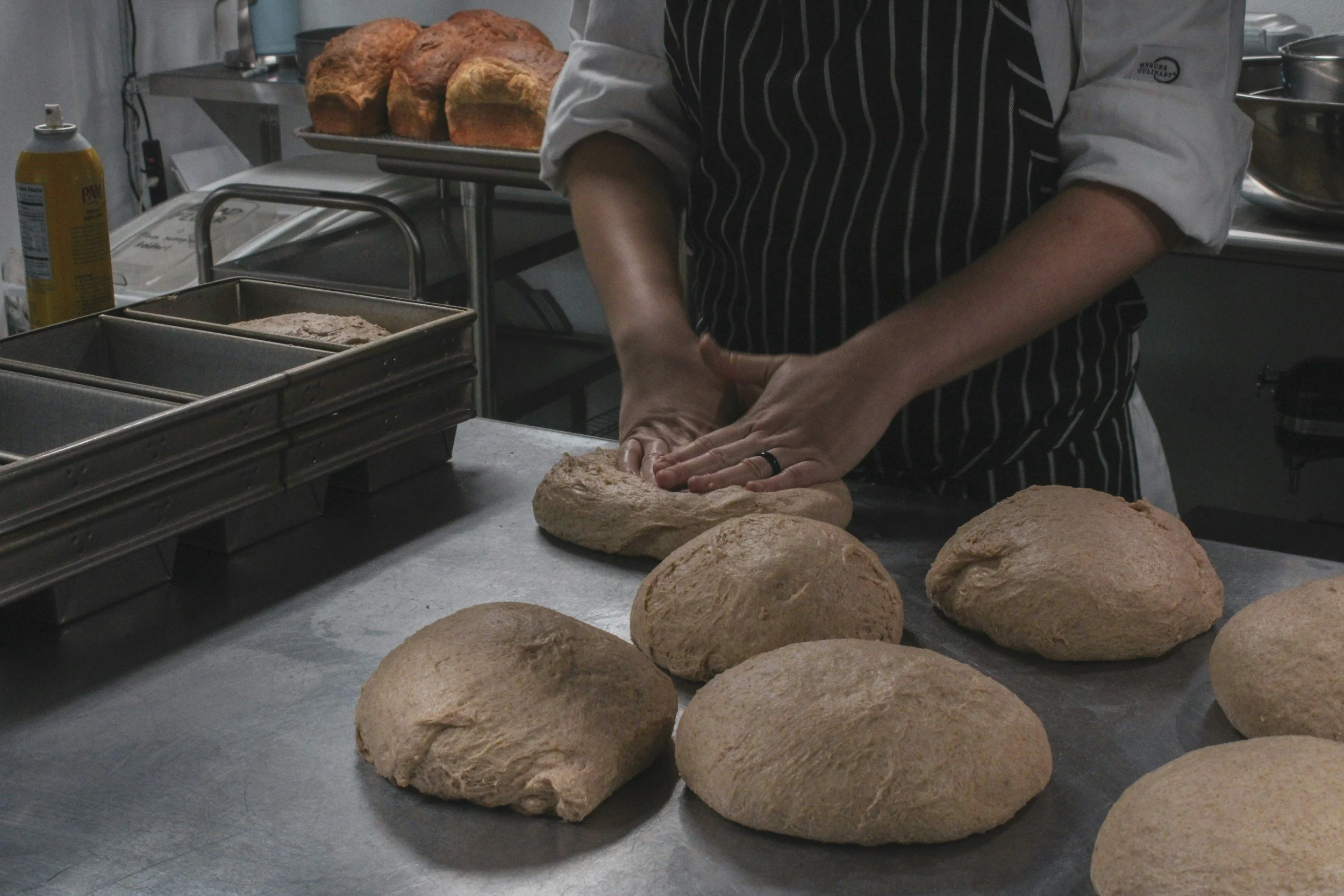 A close up of a baker in a striped apron, kneading round loaves of dough in preparation to make bread.
