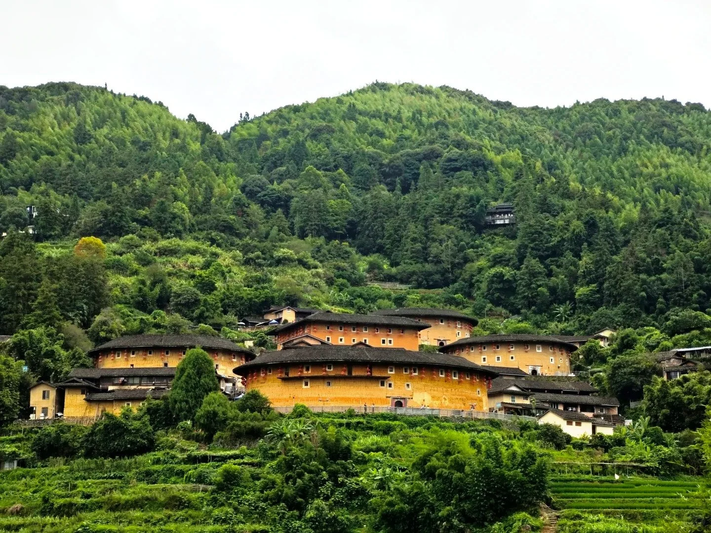 A famous cluster of tulou walled village near Fujian with mountains int he background