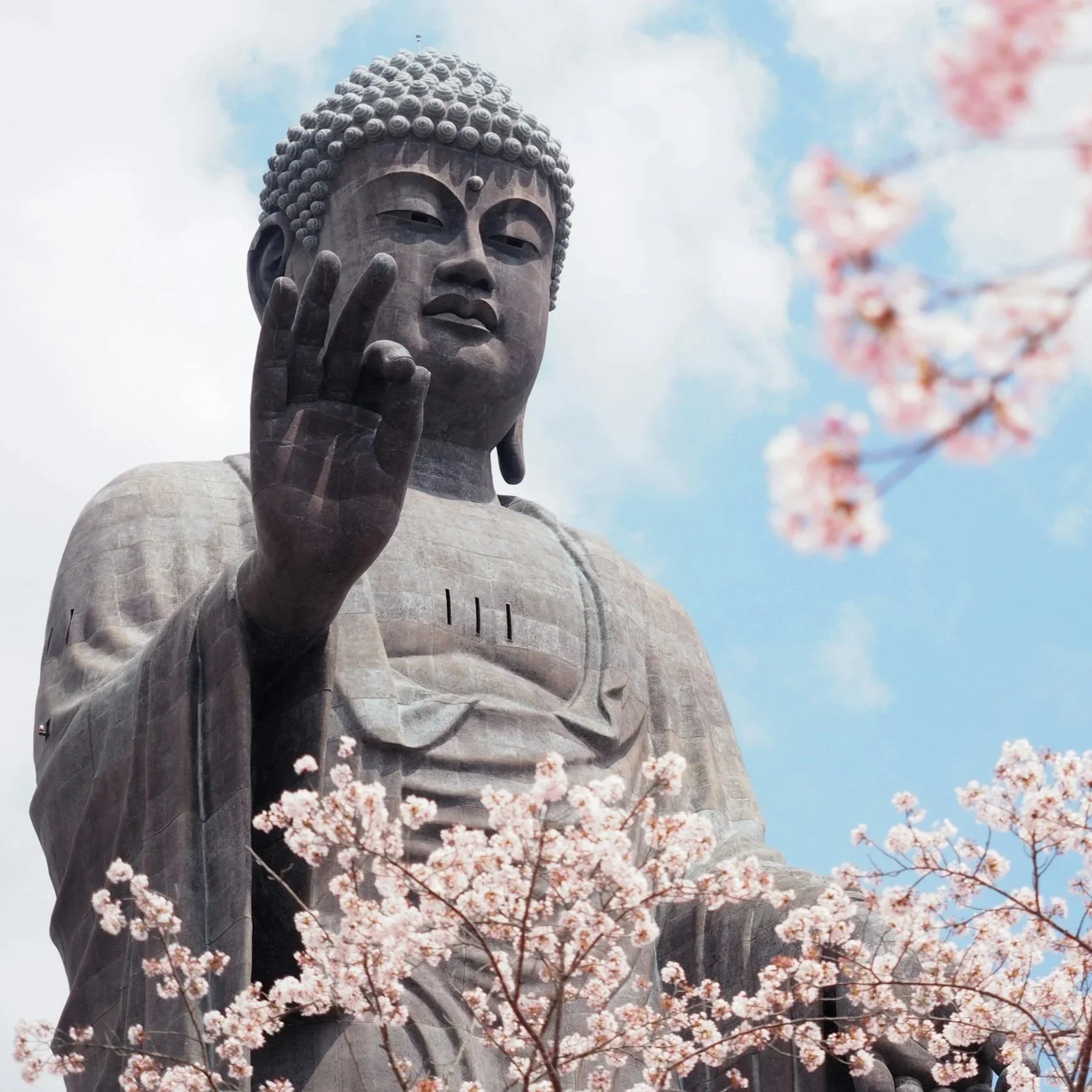 Close-up of the Great Buddha statue with cherry blossoms in the foreground