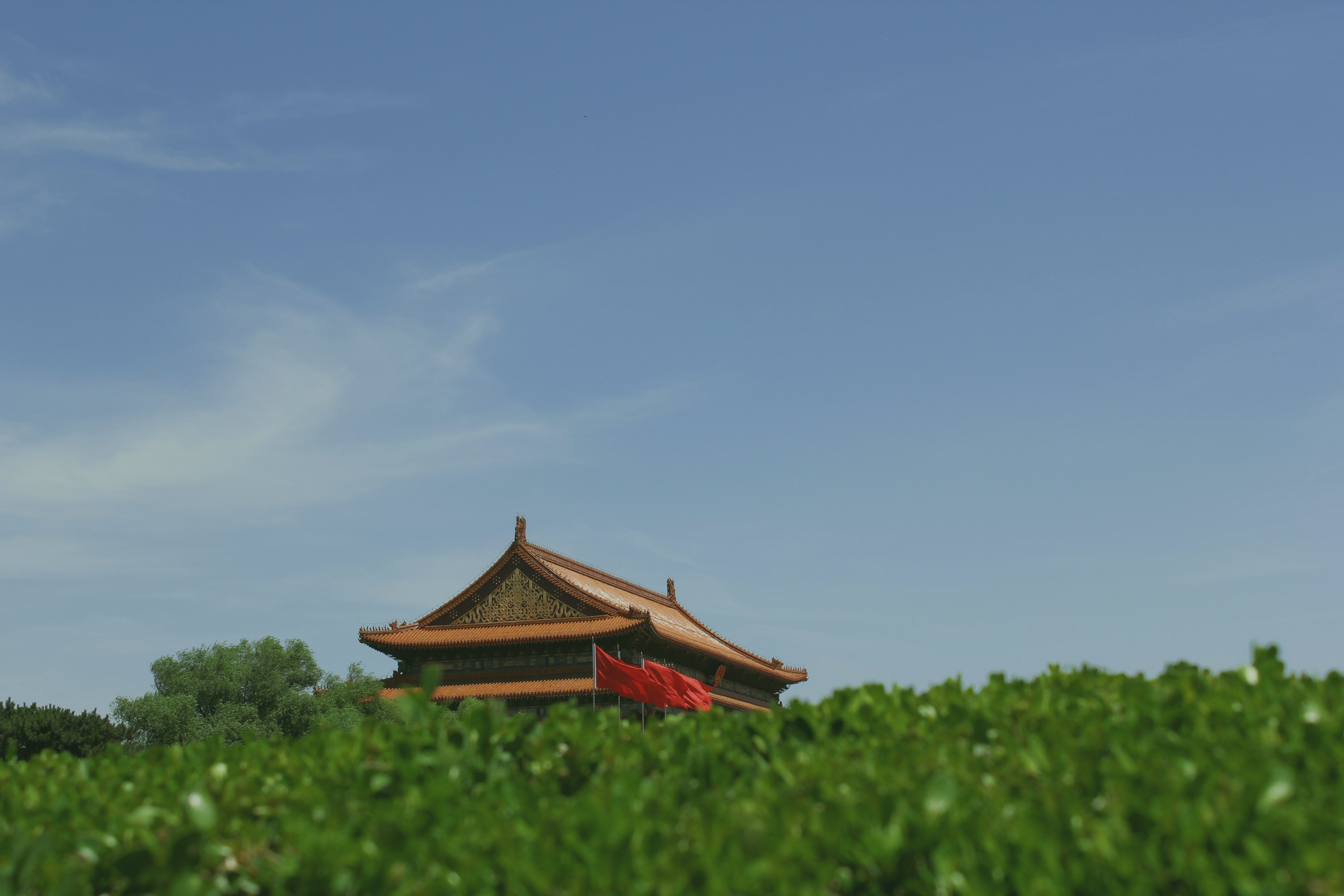 A traditional Asian-style building with a curved, tiled roof, partially obscured by green foliage, under a clear blue sky.