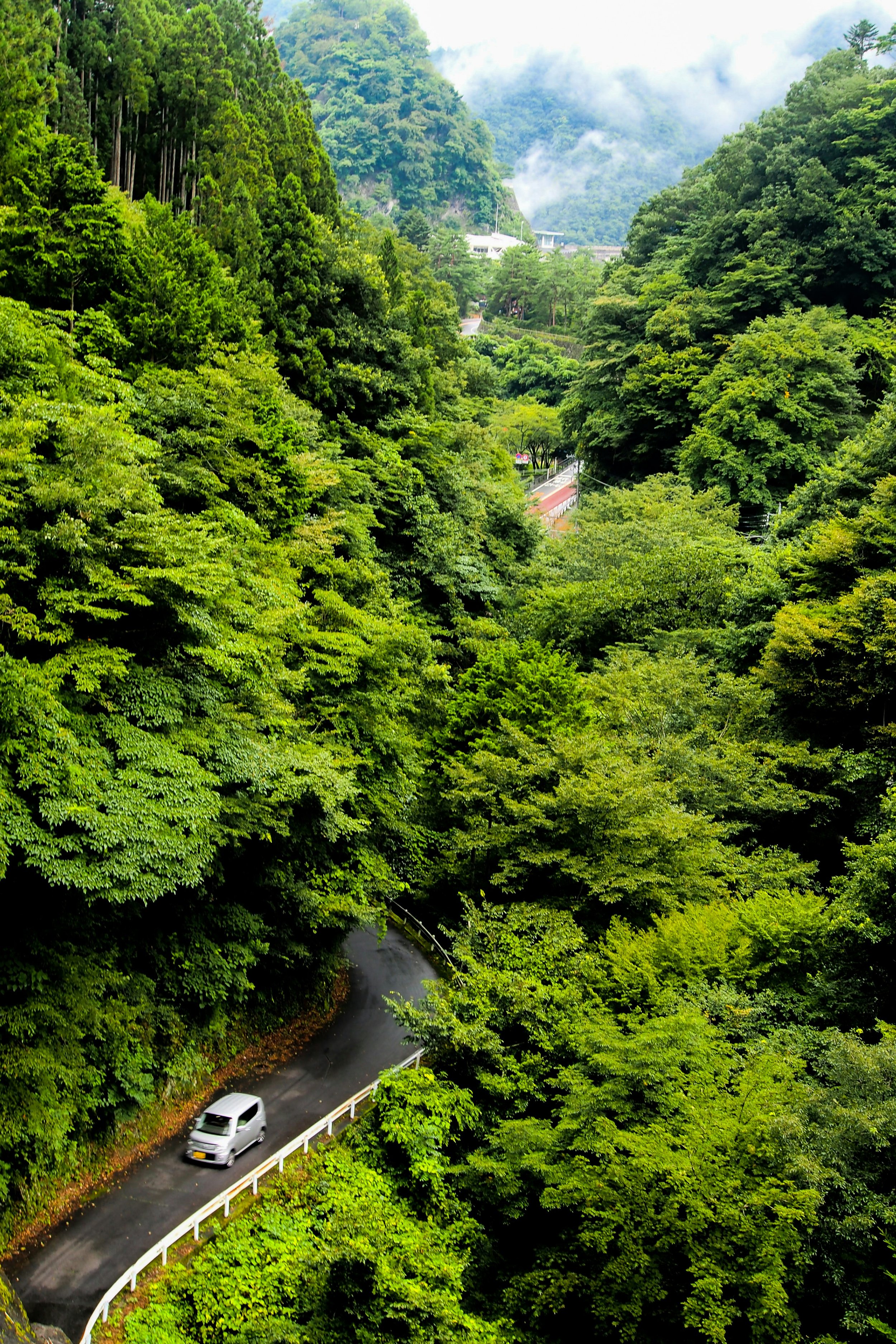 A car driving through a mountain road in rural Japan, surrounded by green forests