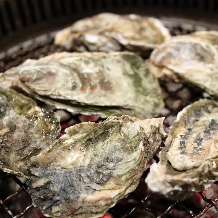 Fresh oysters from the Seto Inland Sea, Takamatsu