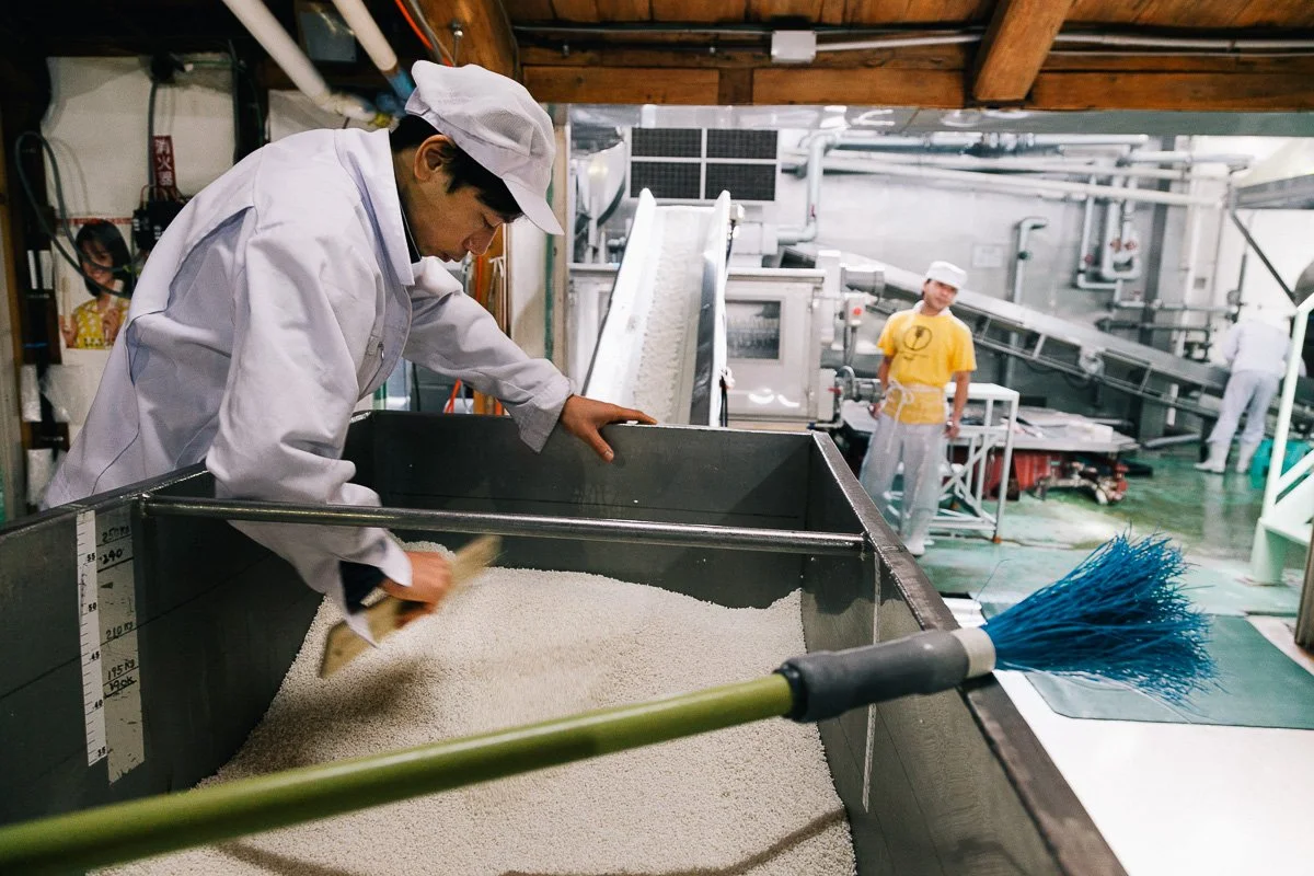 A man sifting through rice at a factory in the early stages of sake production