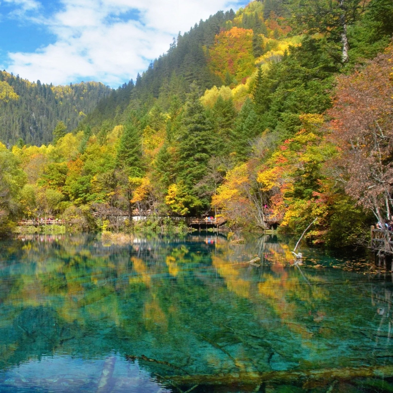 A scenic view of a forested mountain in Jiuzhaigou, Sichuan, China with colorful fall foliage and a calm lake reflecting the trees and sky.