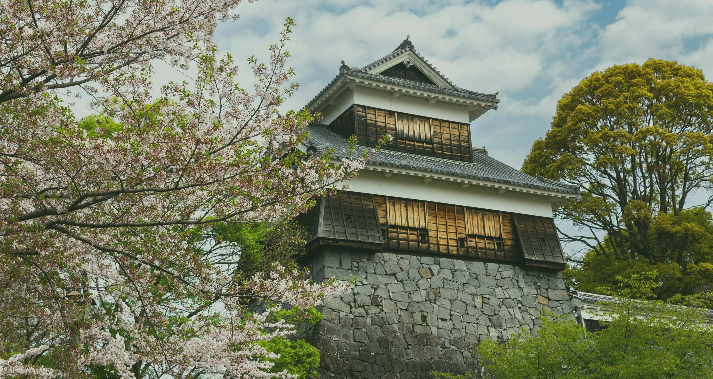 Kumamoto castle, a traditional Japanese castle tower with white walls, gray tiled roof, and wooden window shutters, surrounded by cherry blossom trees in full bloom and tall green trees, under a partly cloudy sky.